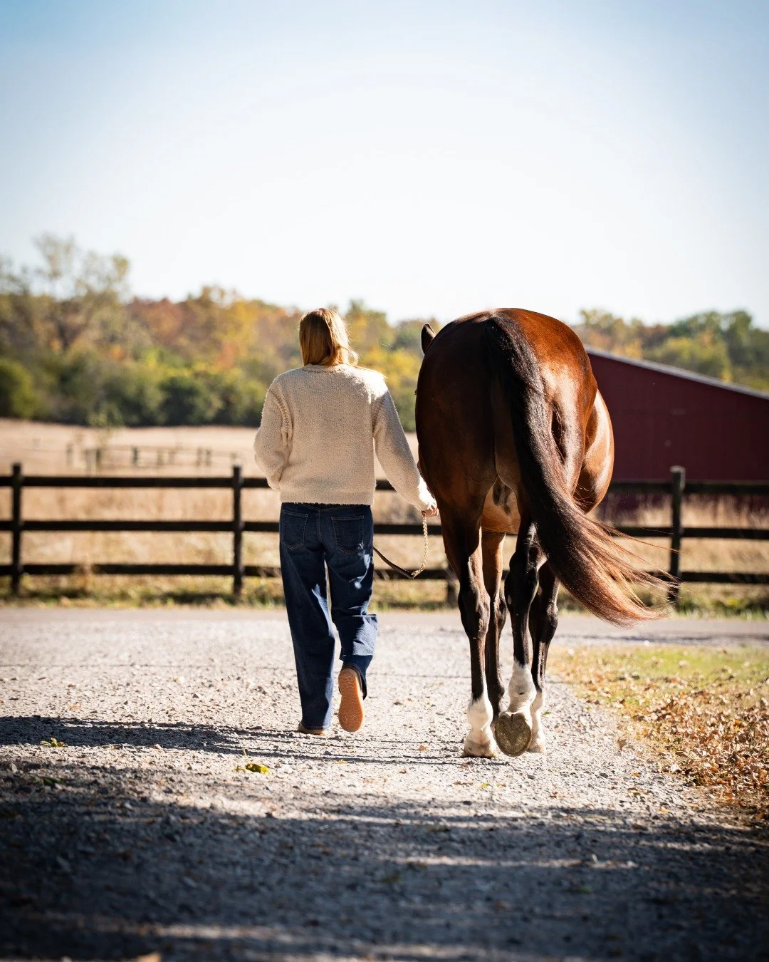 Retiring a horse is one of the most emotional decisions we make &mdash; and it&rsquo;s never just about numbers. But retirement comes with a new financial chapter that most of us aren&rsquo;t prepared for.

When your horse stops showing, the expenses