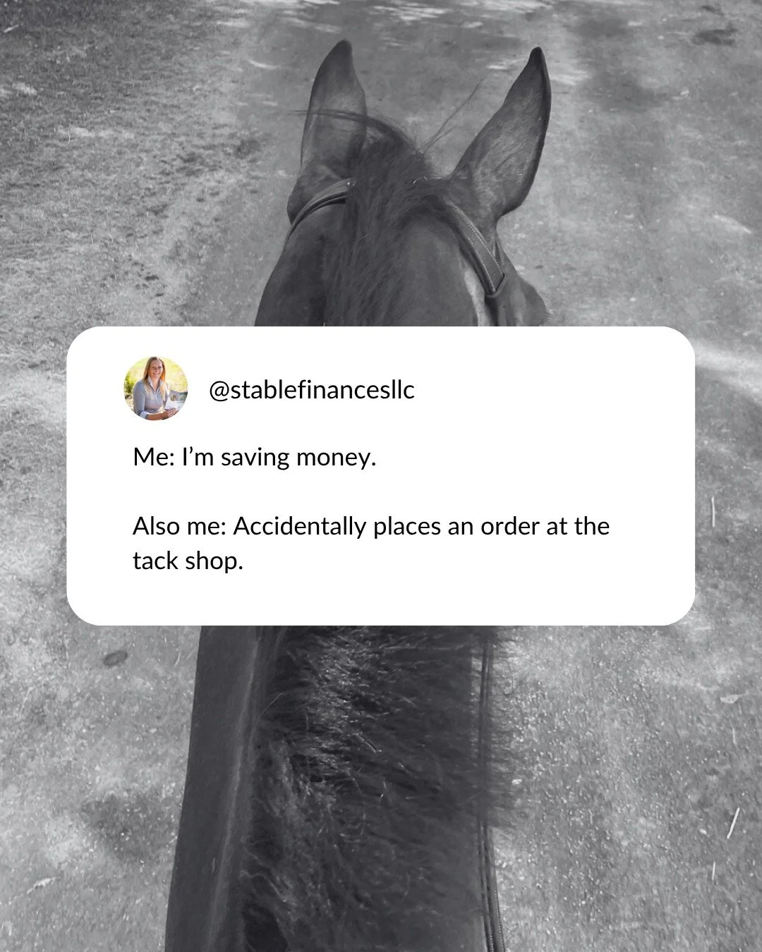 Me: &ldquo;I&rsquo;m entering my responsible money era.&rdquo;

Also me: accidentally buys my horse three things they didn&rsquo;t actually need.
Balance, right?
