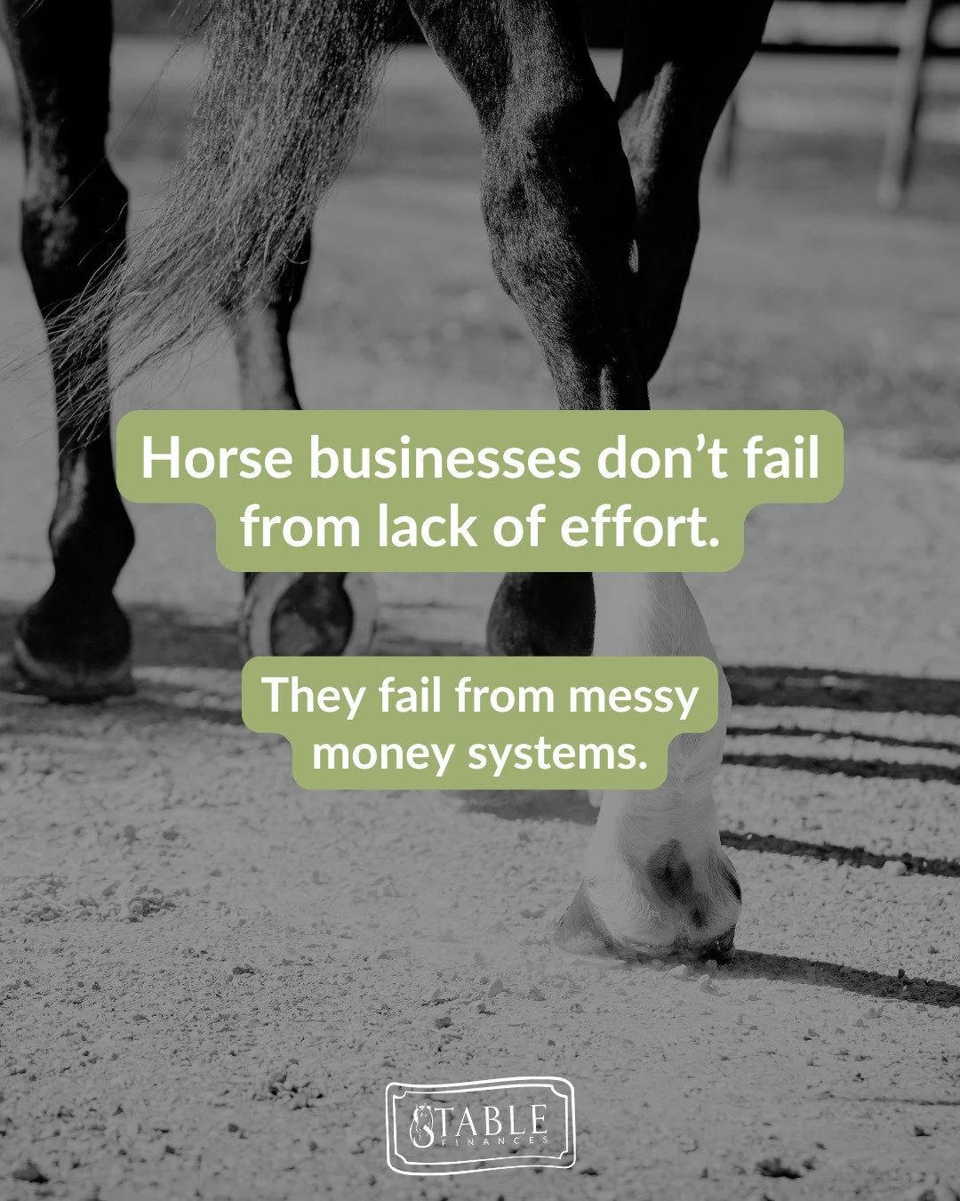 Horse businesses don&rsquo;t struggle because their owners aren&rsquo;t working hard enough.
They struggle because the money systems behind the scenes are messy, inconsistent, or nonexistent.

Long hours, full barns, busy schedules &mdash; none of th