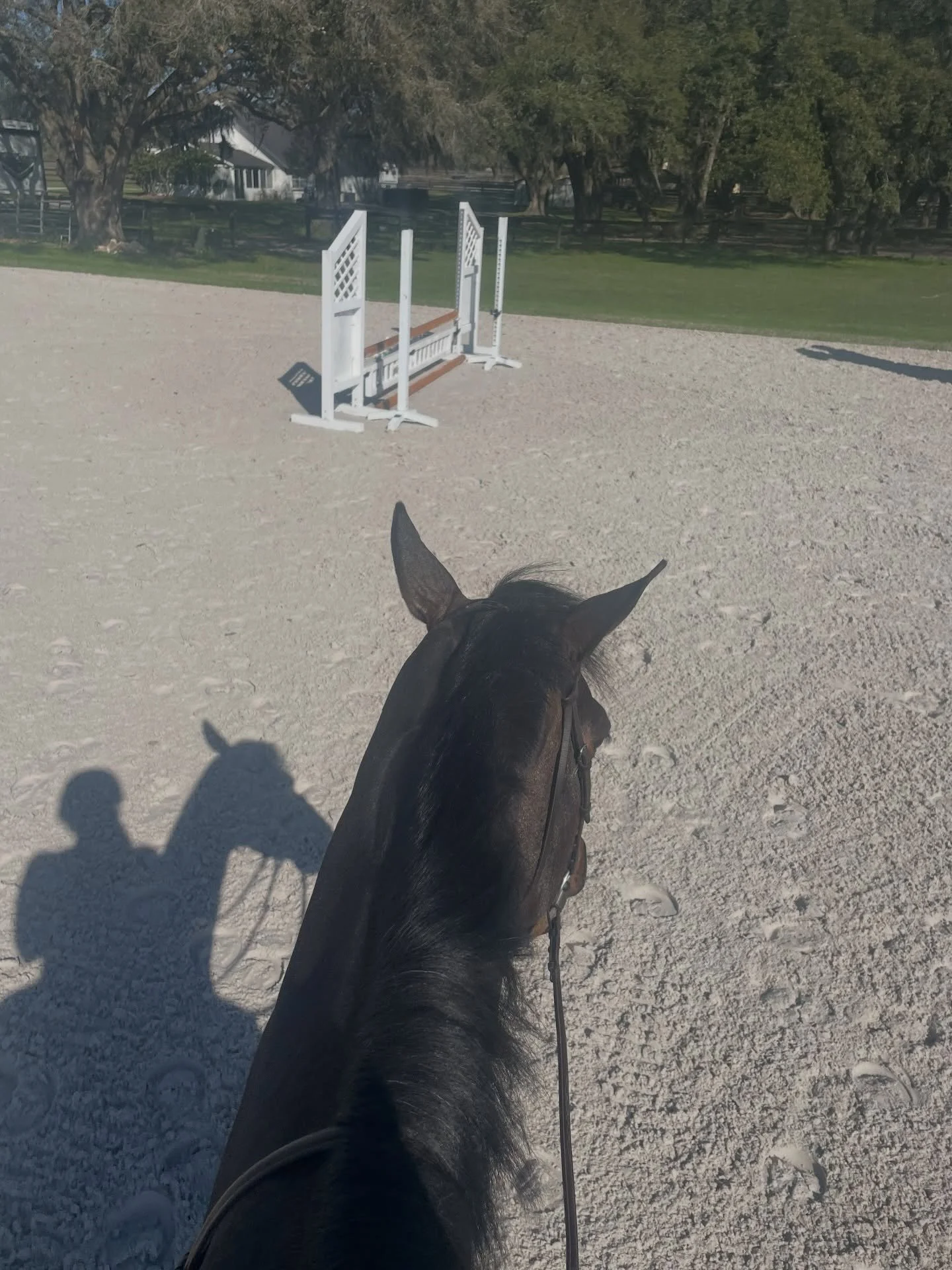 Week 2 of WEC looked a little different &mdash; Cool Girl earned some well-deserved time off and we kept things light. I stayed consistent at the gym, saved some money with a quieter week, and got to watch Drake Maye make history with the Pats&rsquo;