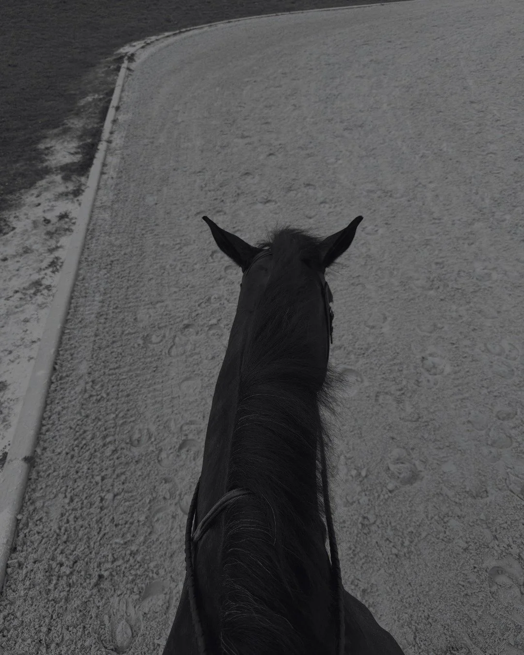 WEC Week 12 - and just like that, winter circuit is a wrap. 🎬

I chose not to show this week, and instead just&hellip; sat with it. Watched. Reflected. Thought about where we started back in January - nervous, second-guessing, figuring it all out. A