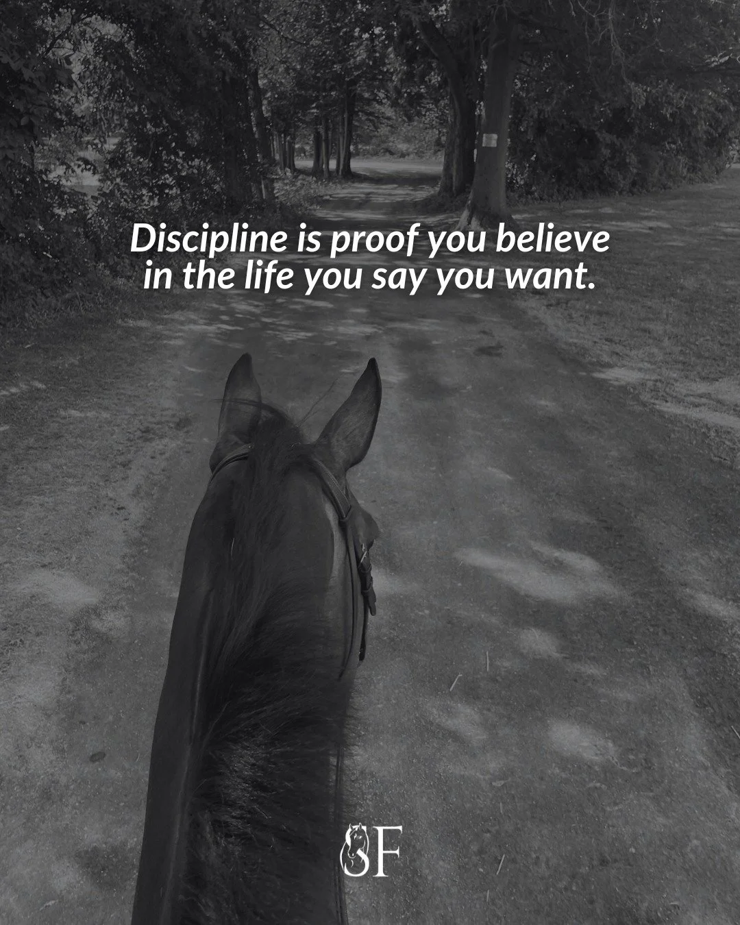 If your finances feel chaotic, overwhelming, or constantly pushed to the back burner, this is where we change that.

I help equestrian business owners:
&bull; organize their books
&bull; understand their numbers
&bull; create systems that actually ma
