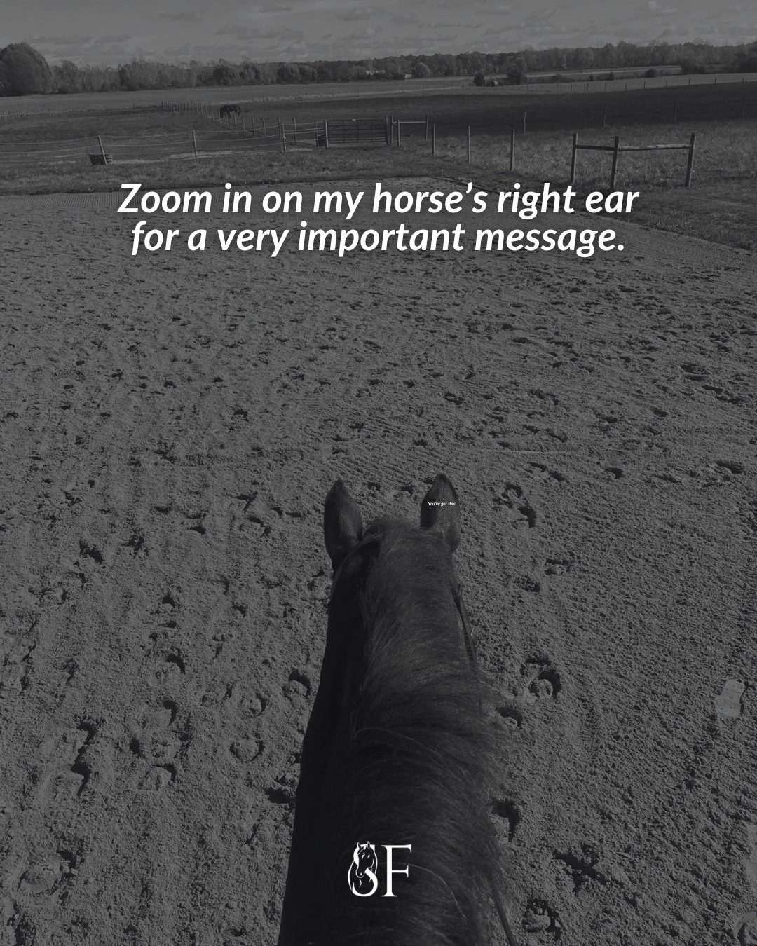 You're capable of so much more than you're giving yourself credit for 🤍🐴