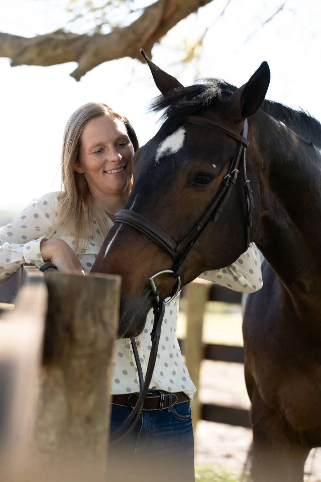 Is Your Horse a Tax Deduction? What Every Equestrian Business Owner Needs to Know