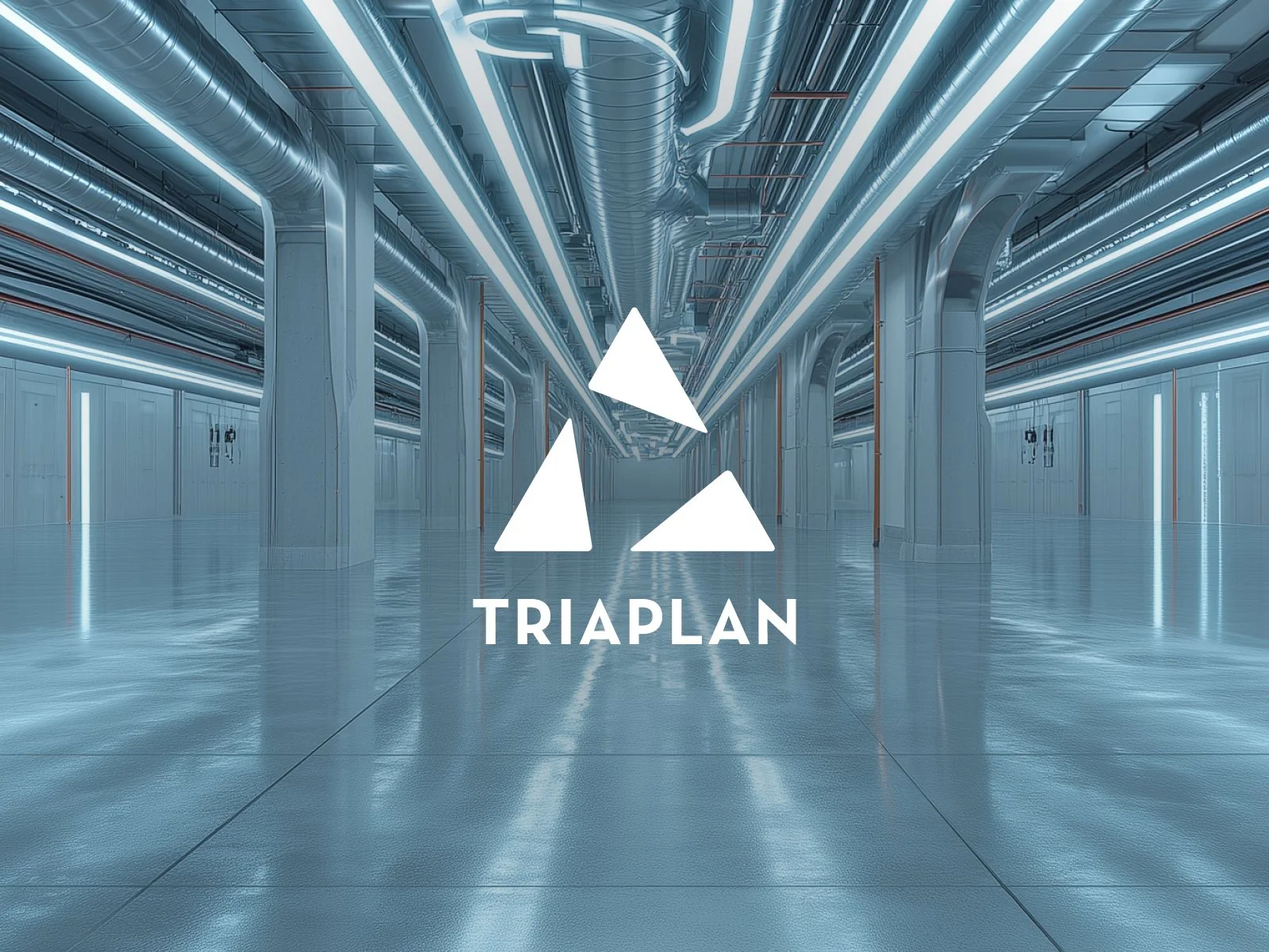 Triaplan Naming and Logo Design