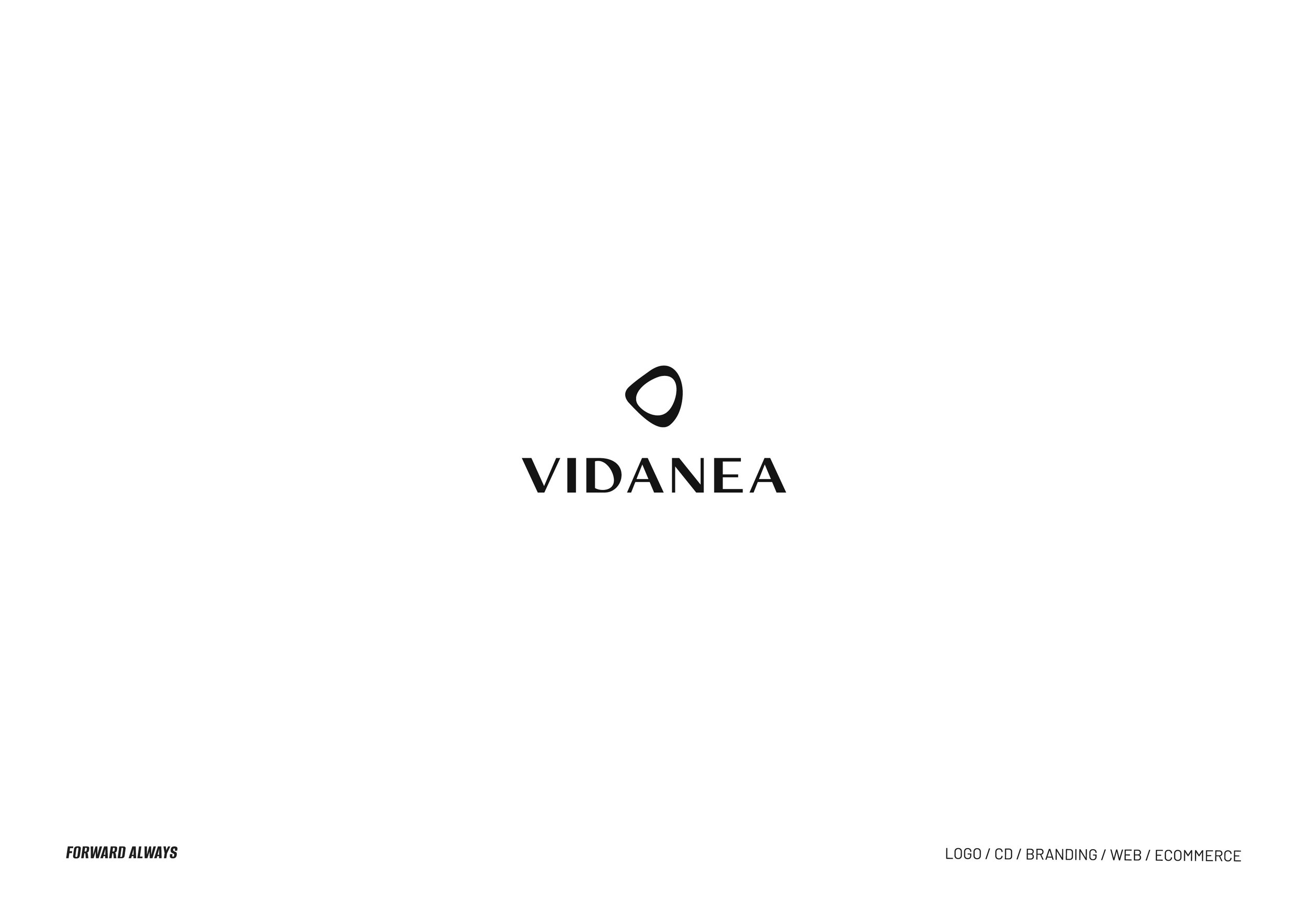 vidanea-logo-sw3.jpg