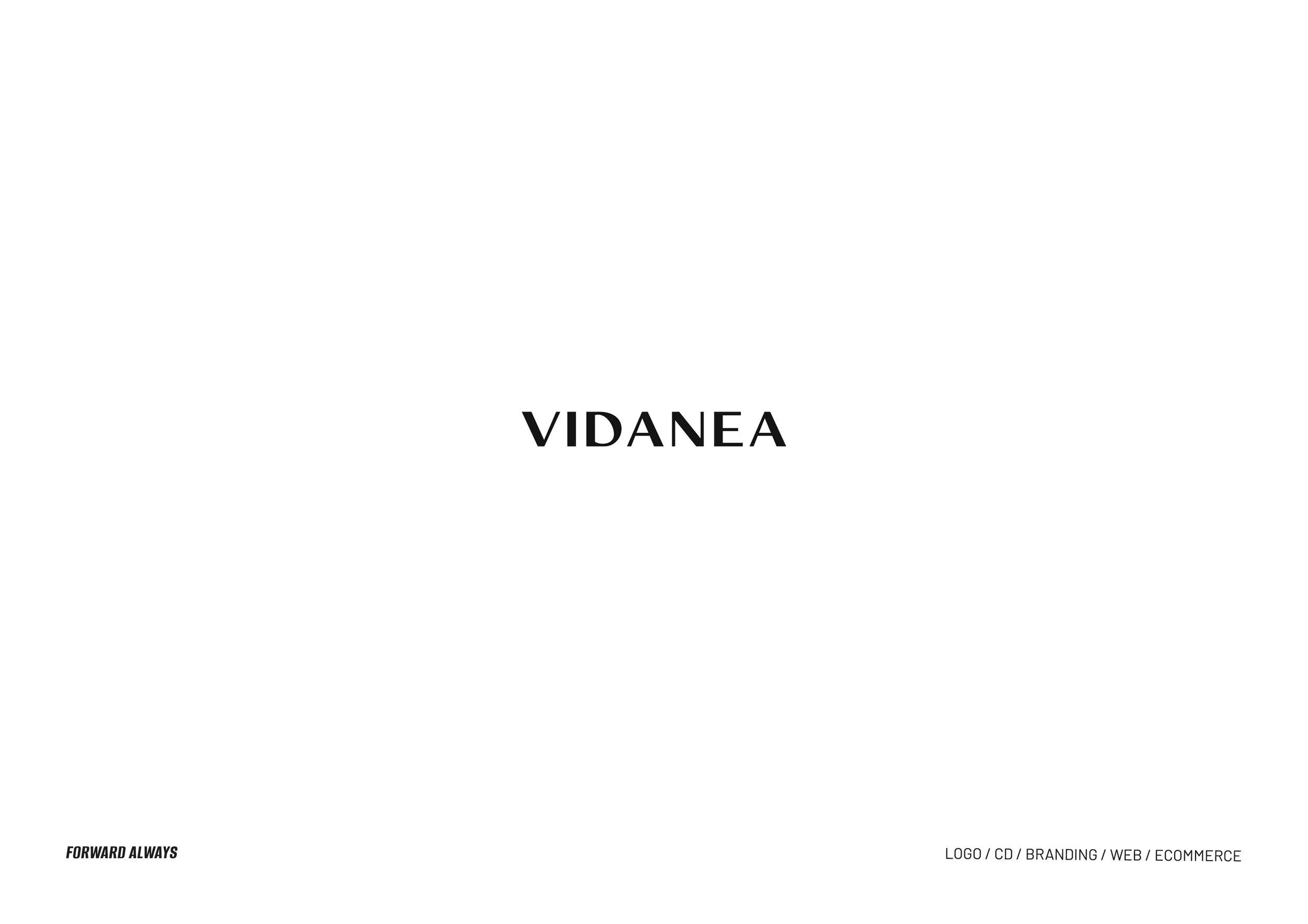 vidanea-logo-sw.jpg