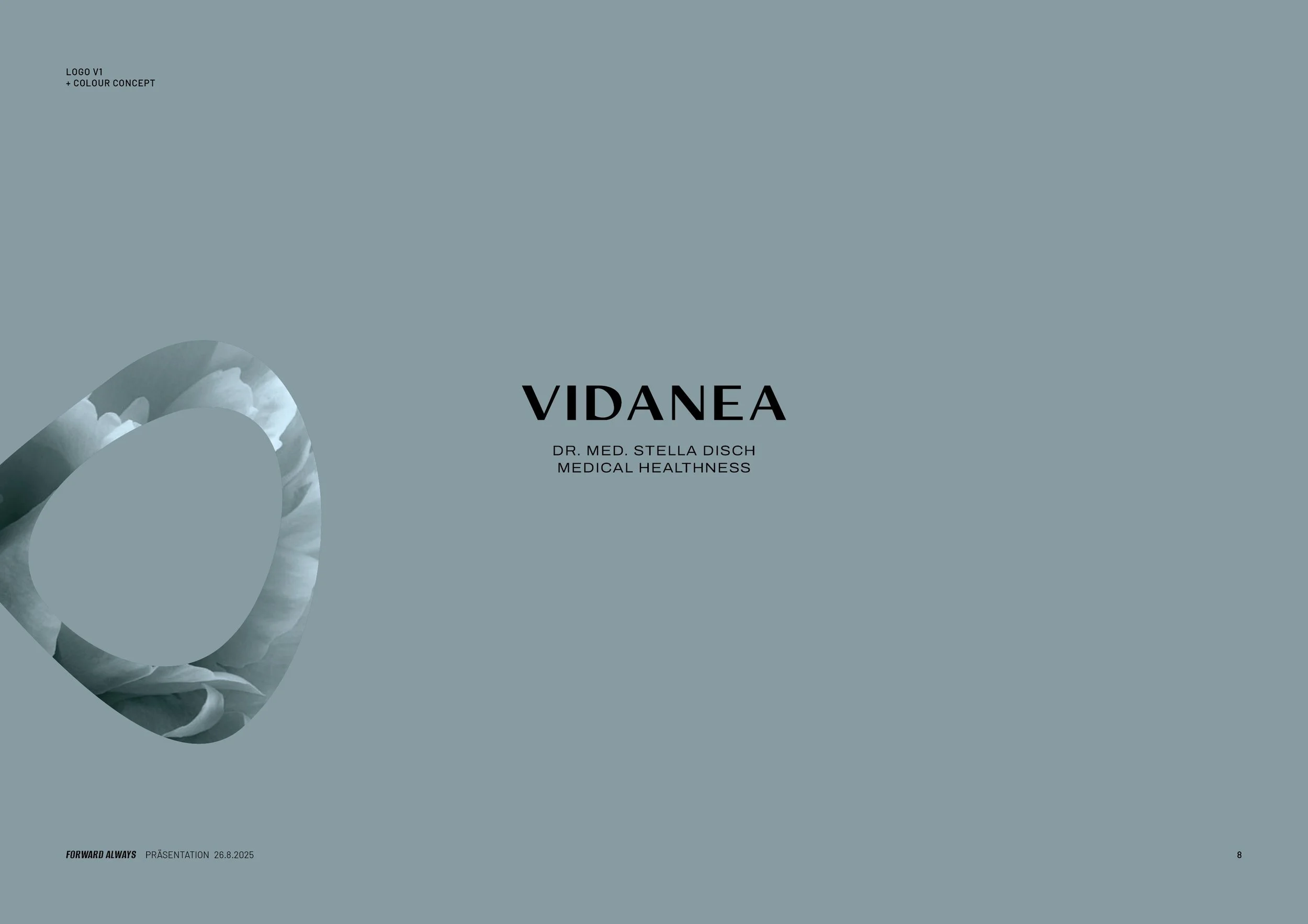 vidanea-logo-corporate-colour.jpg
