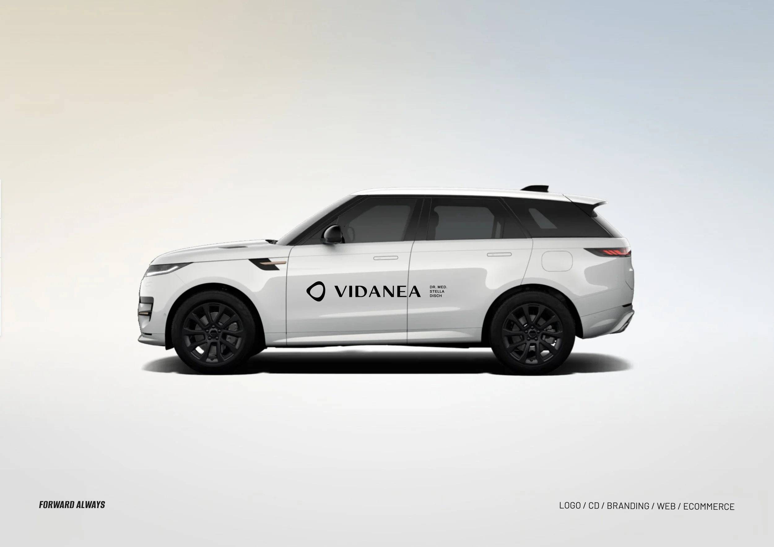 vidanea-branding4.jpg