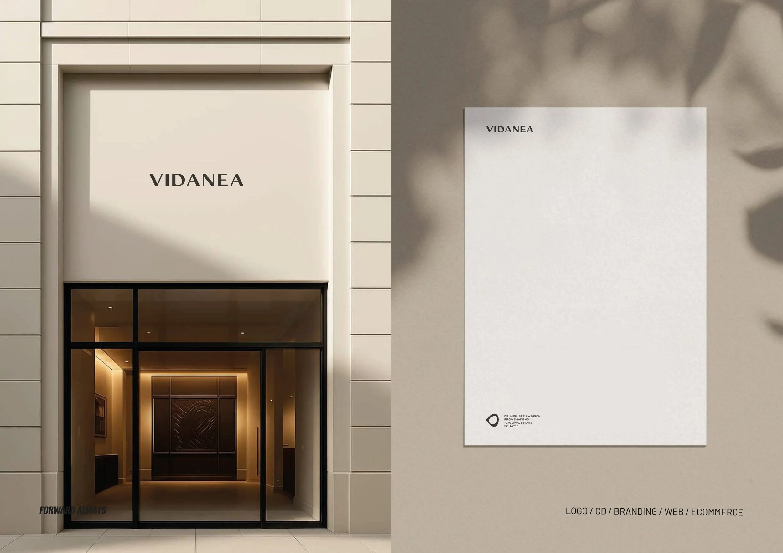 vidanea-branding.jpg