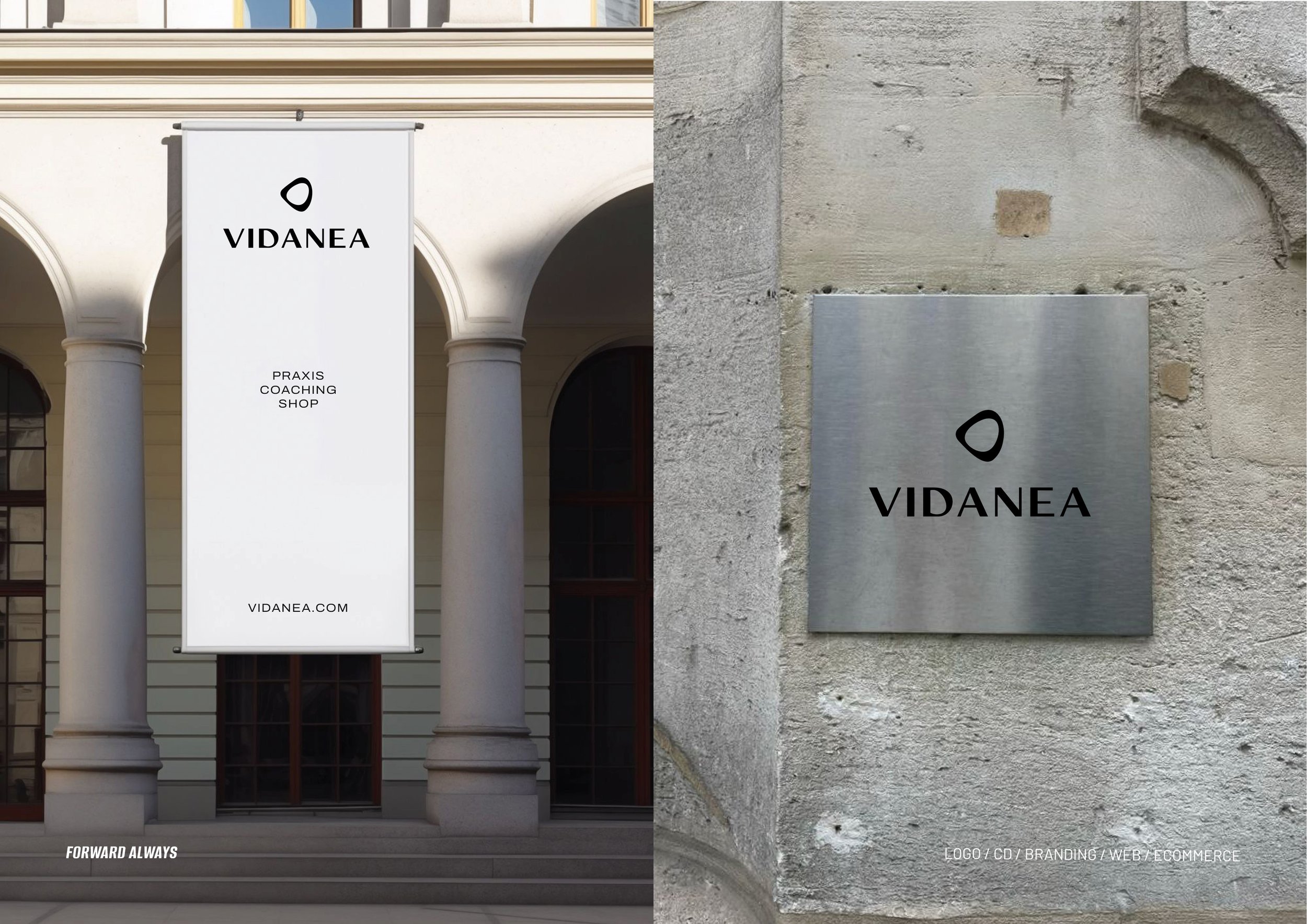 vidanea-branding3.jpg