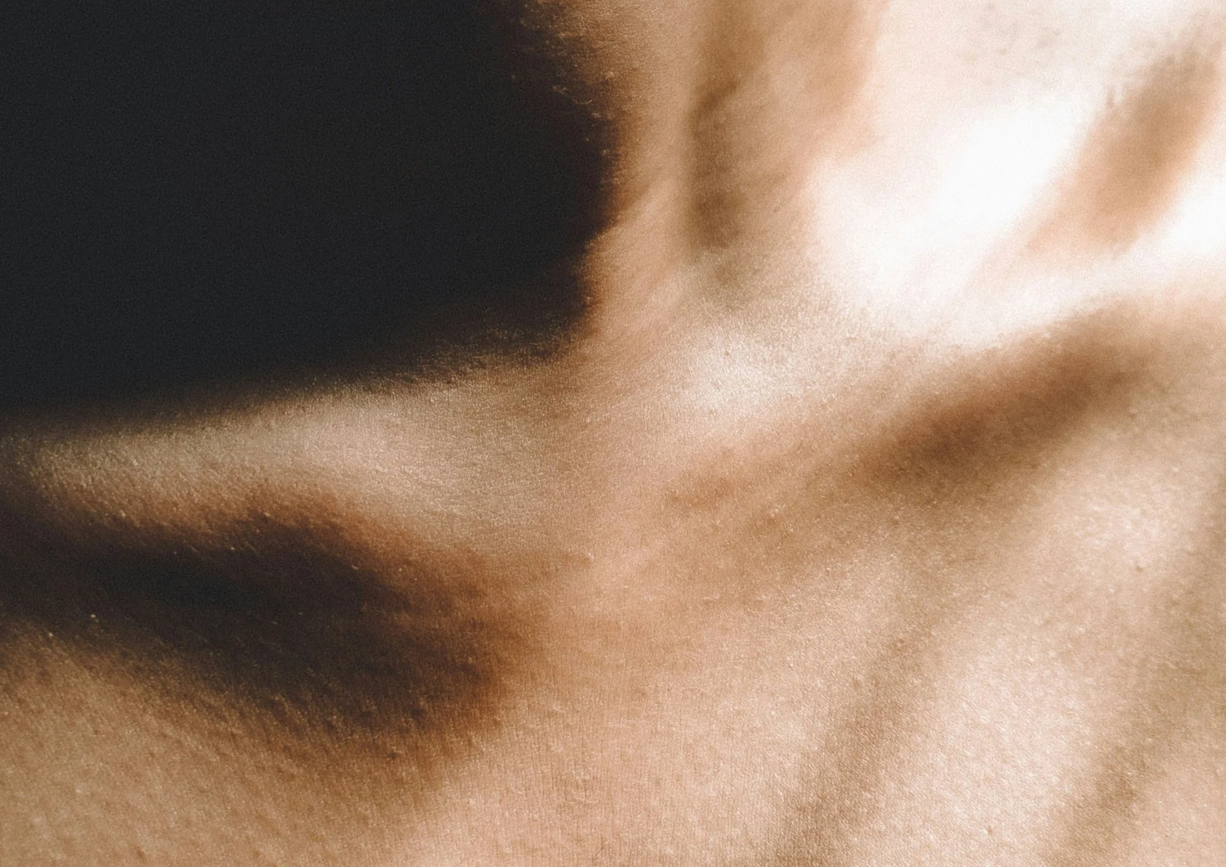 Vidanea - Dr. Stella Disch