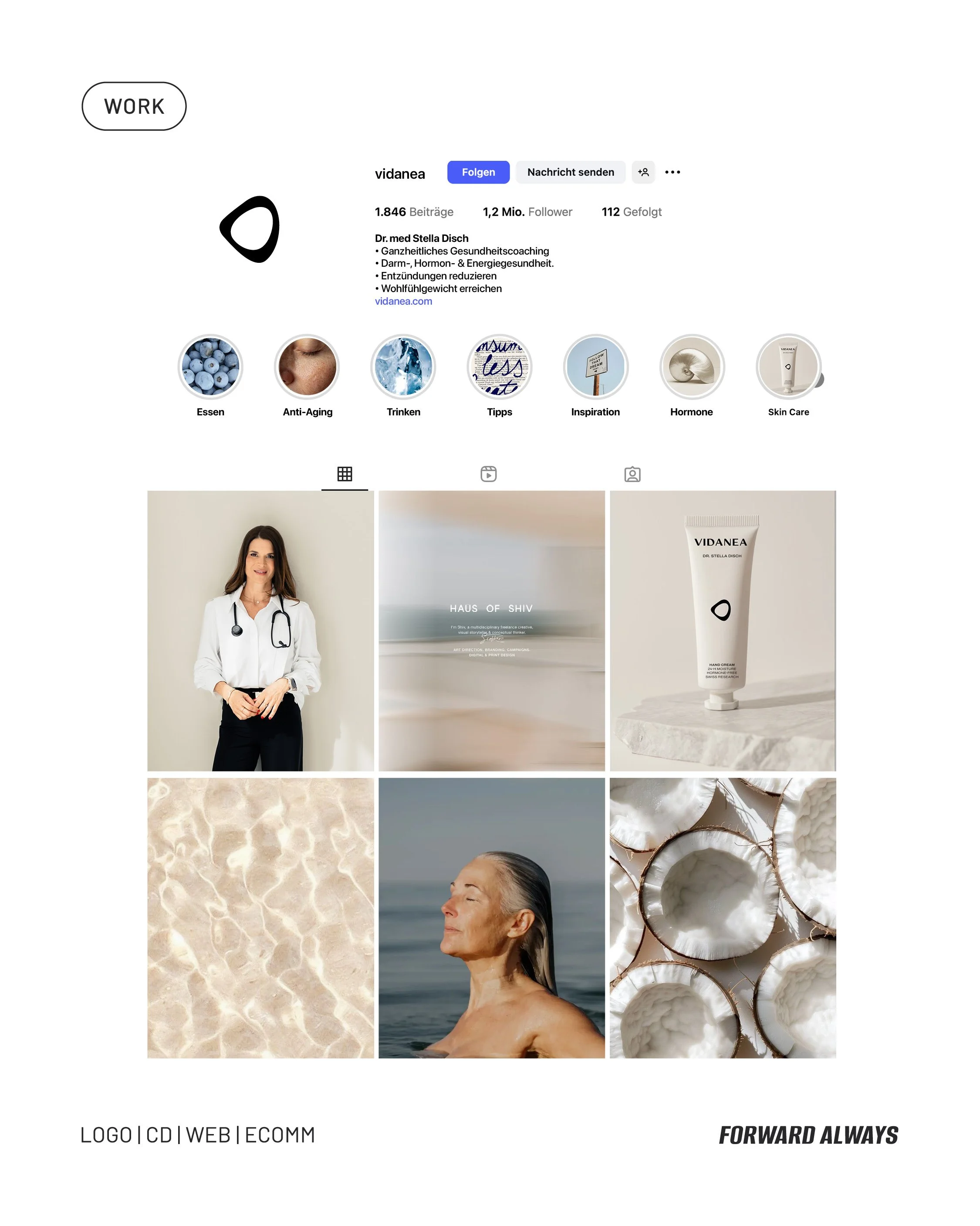 vidanea-instagram.jpg
