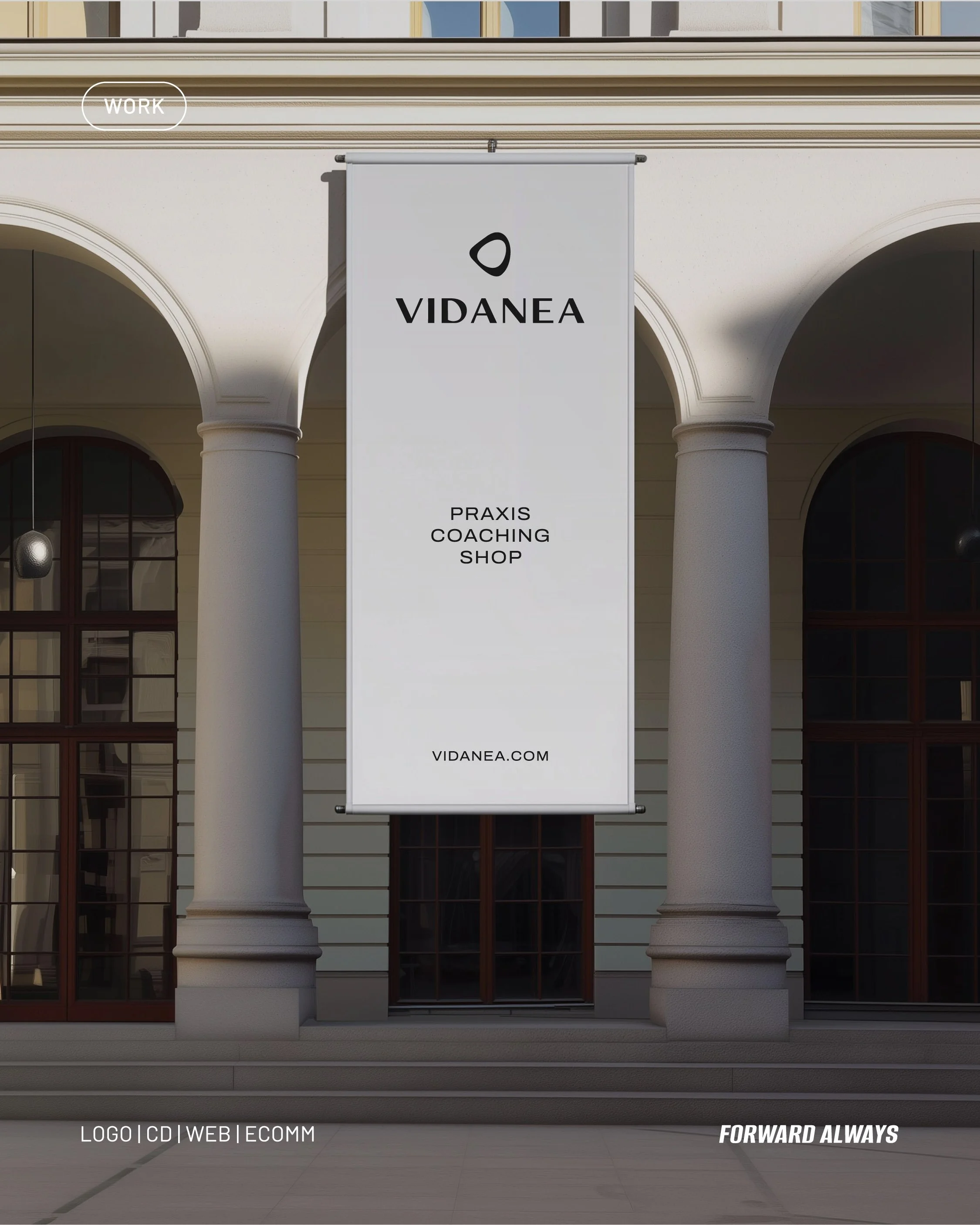 vidanea-branding-flag.jpg