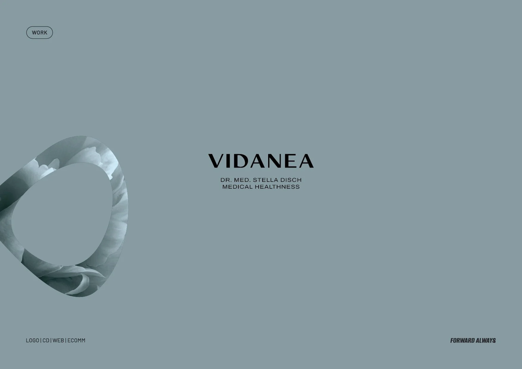 vidanea-logo-colour.jpg