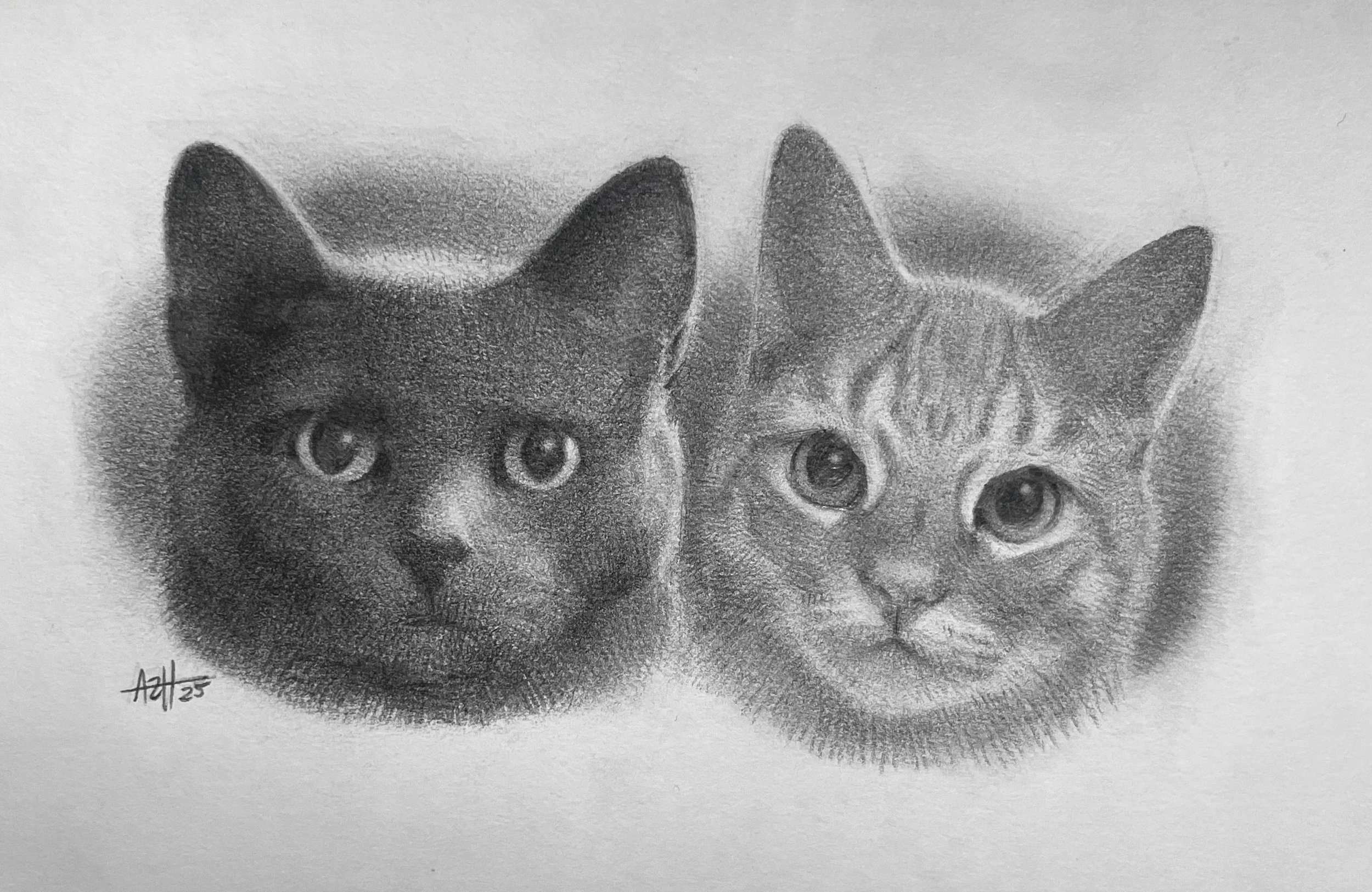 Untitled, 2025, Graphite 🔴