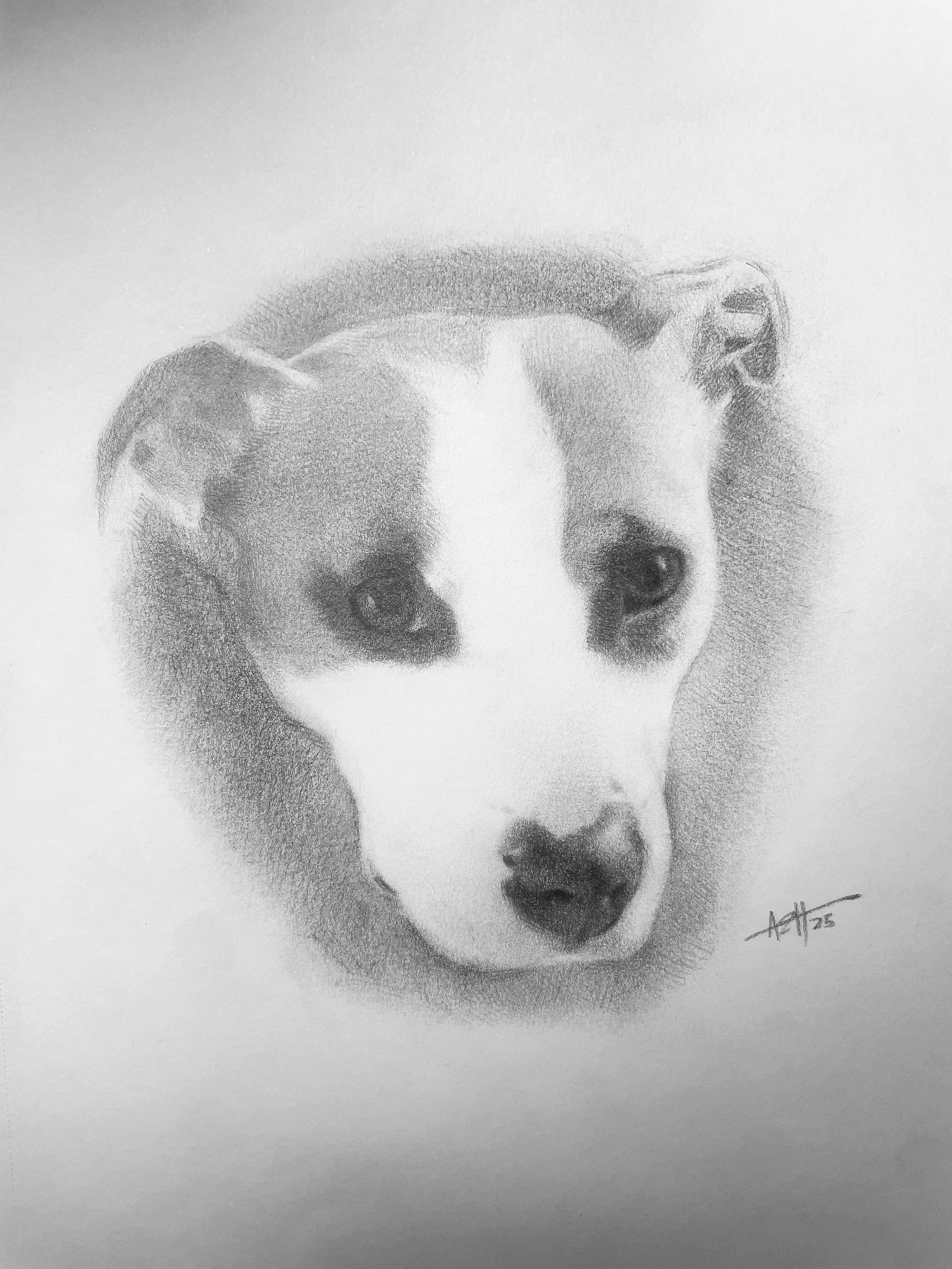 Untitled, 2025, Graphite 🔴