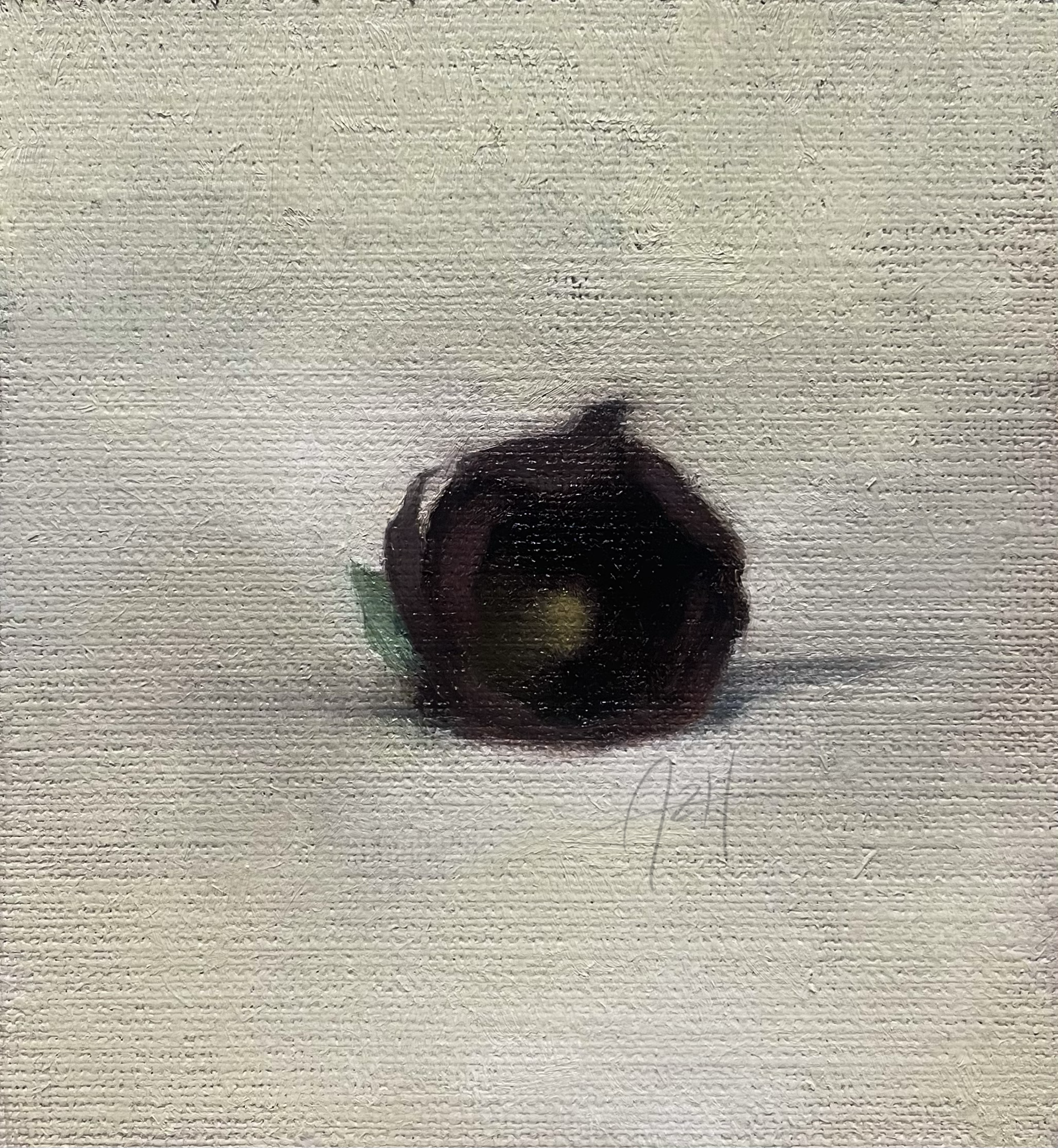 'Black Hollyhock', 2024, Oil on linen 🔴