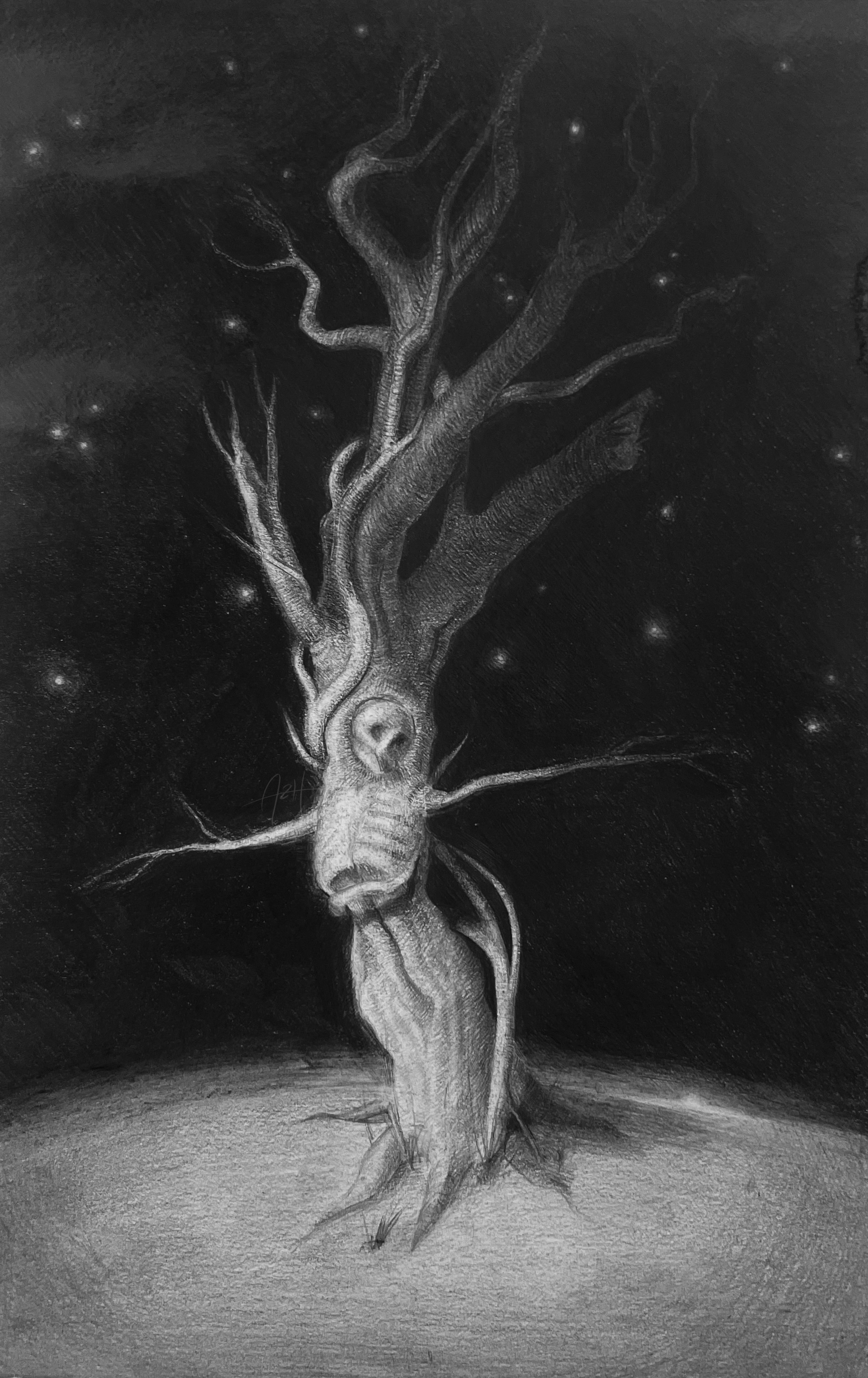 'Winter', 2023, Graphite