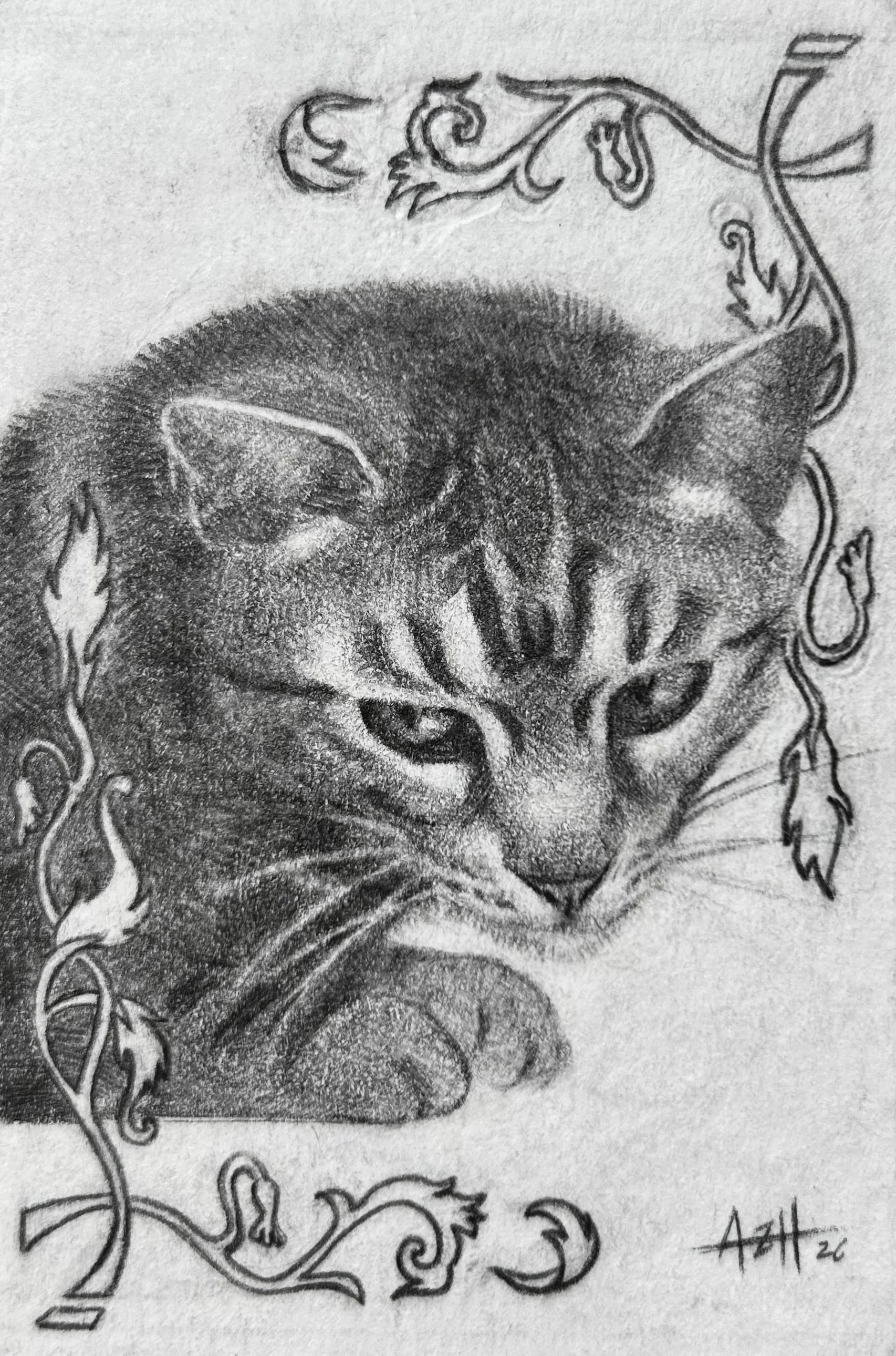 Untitled, 2026, Graphite 🔴
