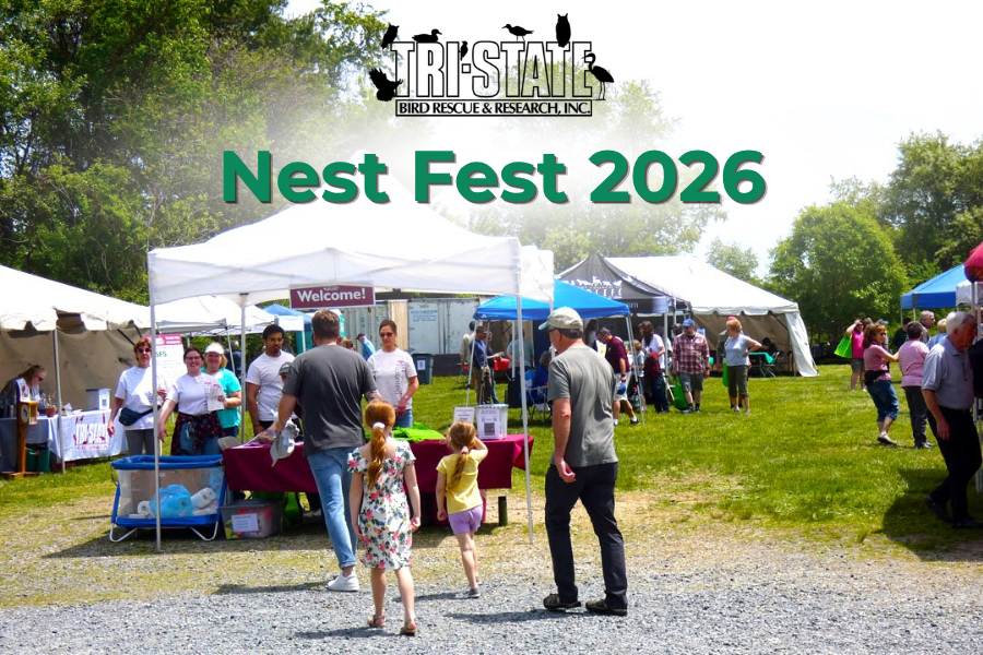Nest Fest-Tristate Bird Rescue