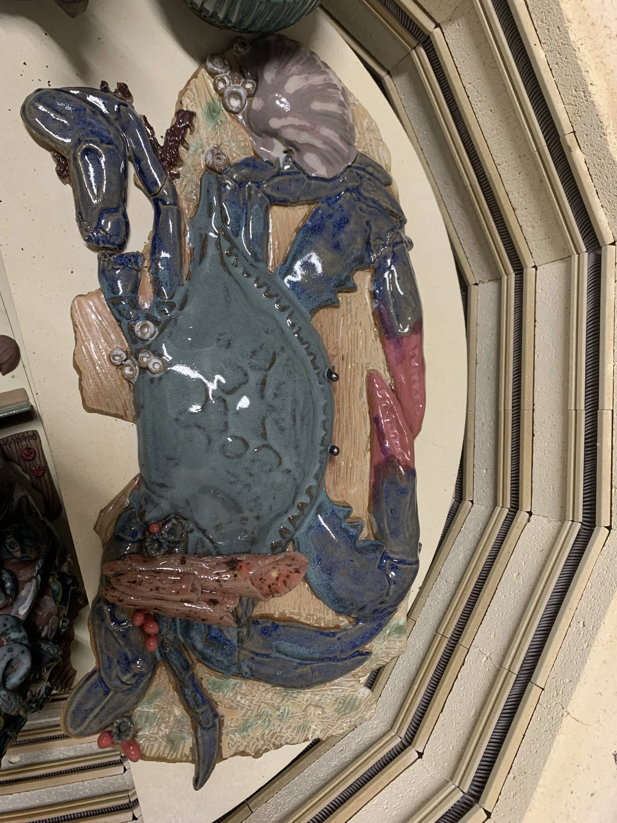 Tide Pool Treasure- Blue Crab