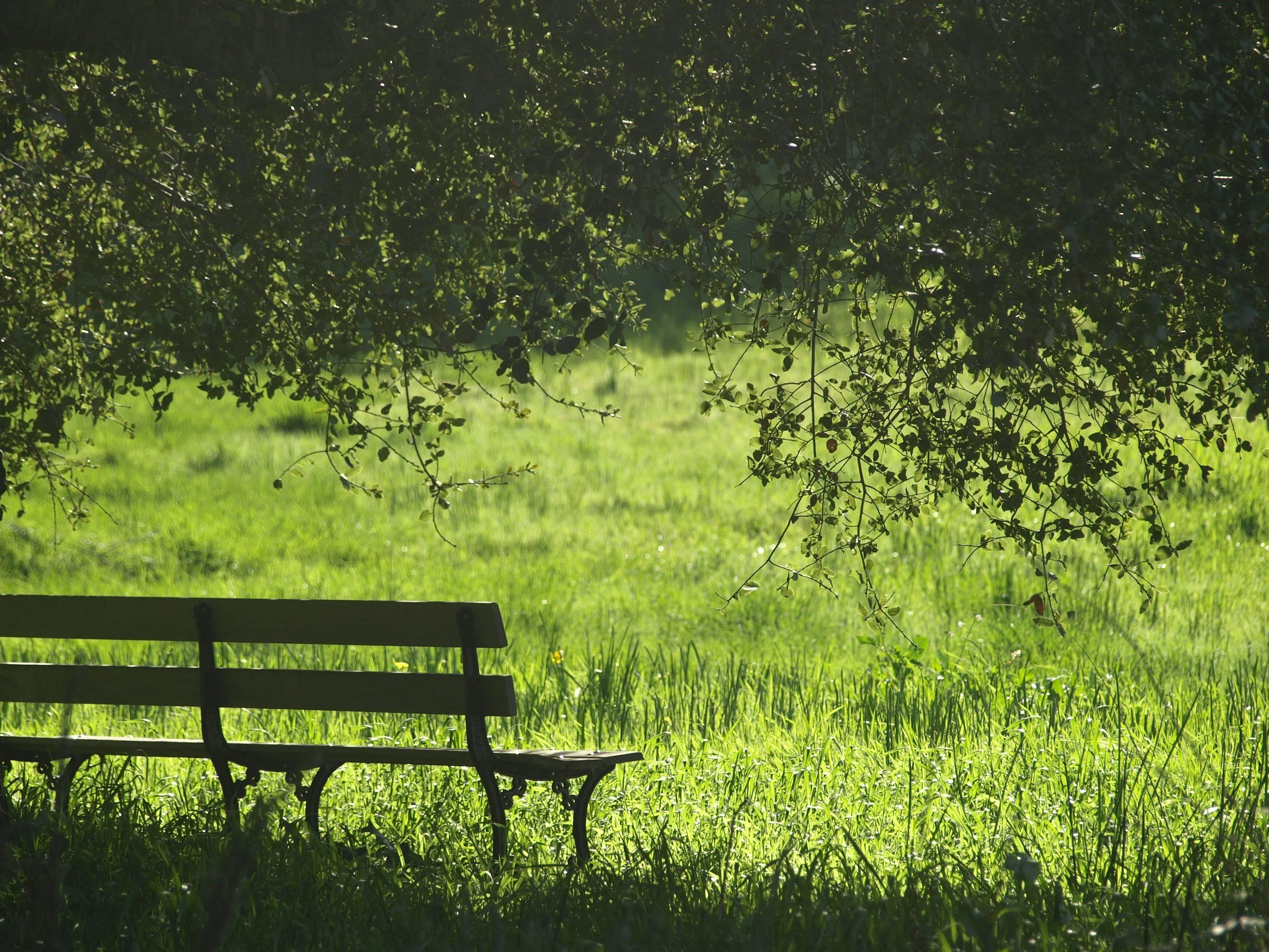 How to Take a Content Break Without Losing Momentum