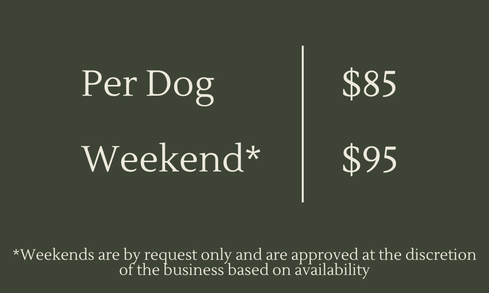 Hiking Rates. $85 per dog. $95 per dog on weekends.