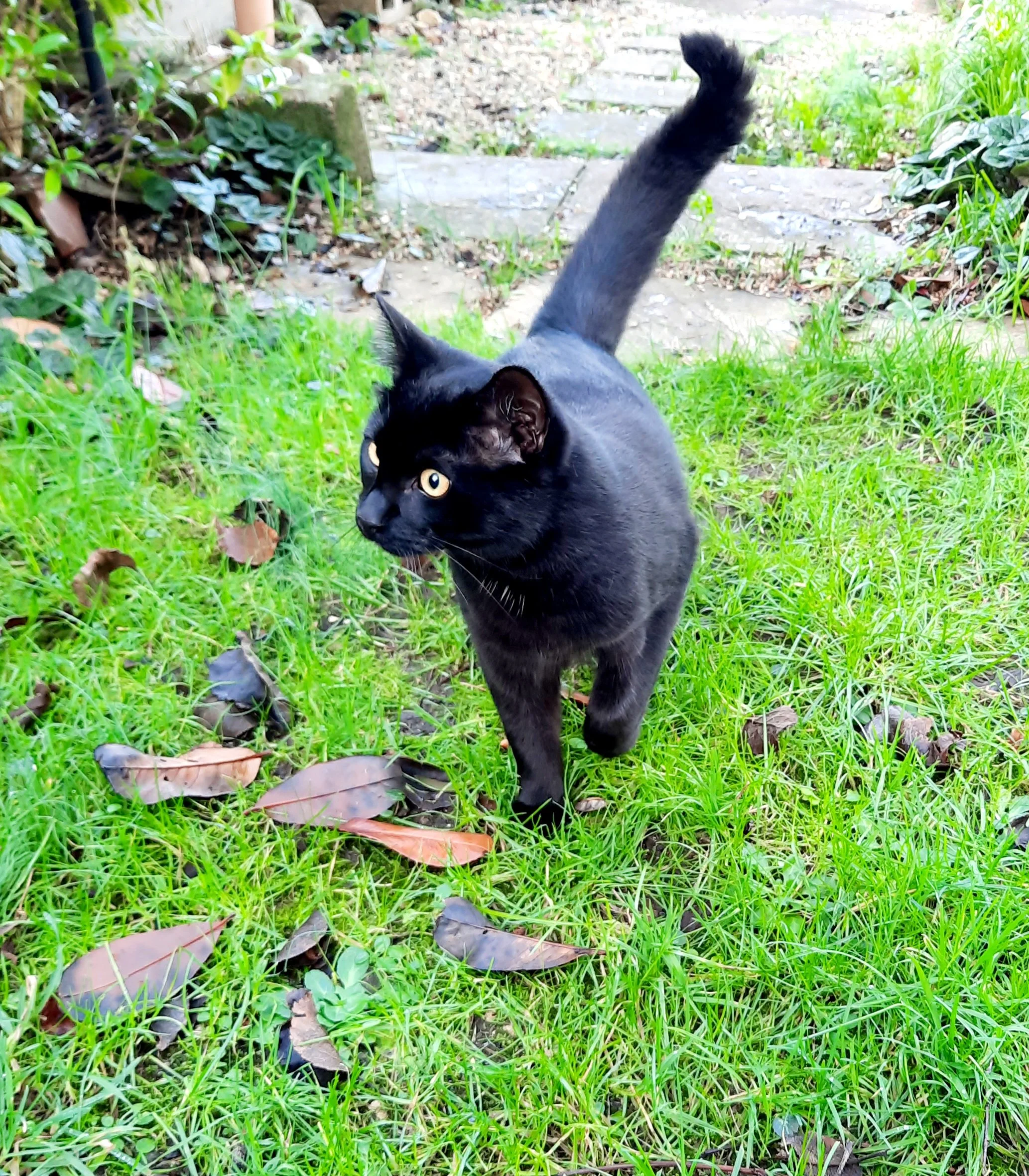 French Stroud lessons classes adults evening tuition native speaker Nailsworth Stroud Stonehouse