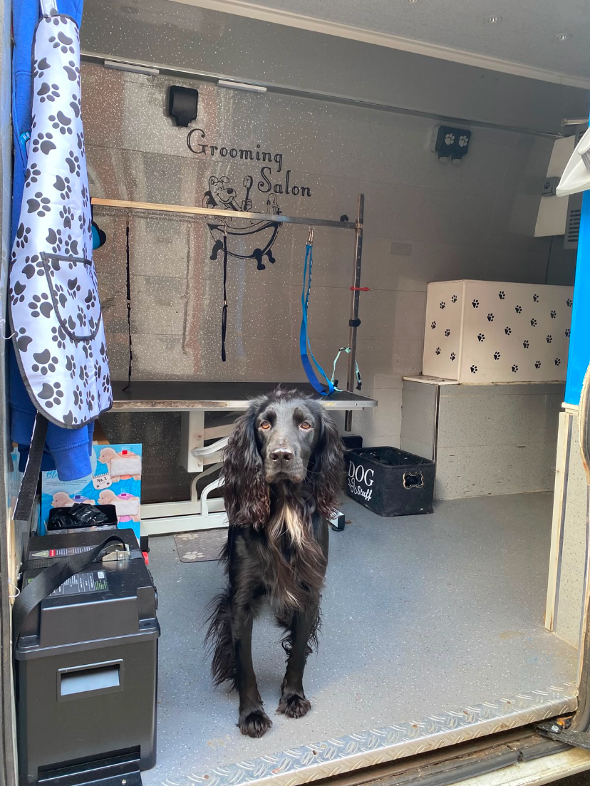 Mr Walter's Mobile Groom Room now offers 1:1 dog grooming right outside your home!