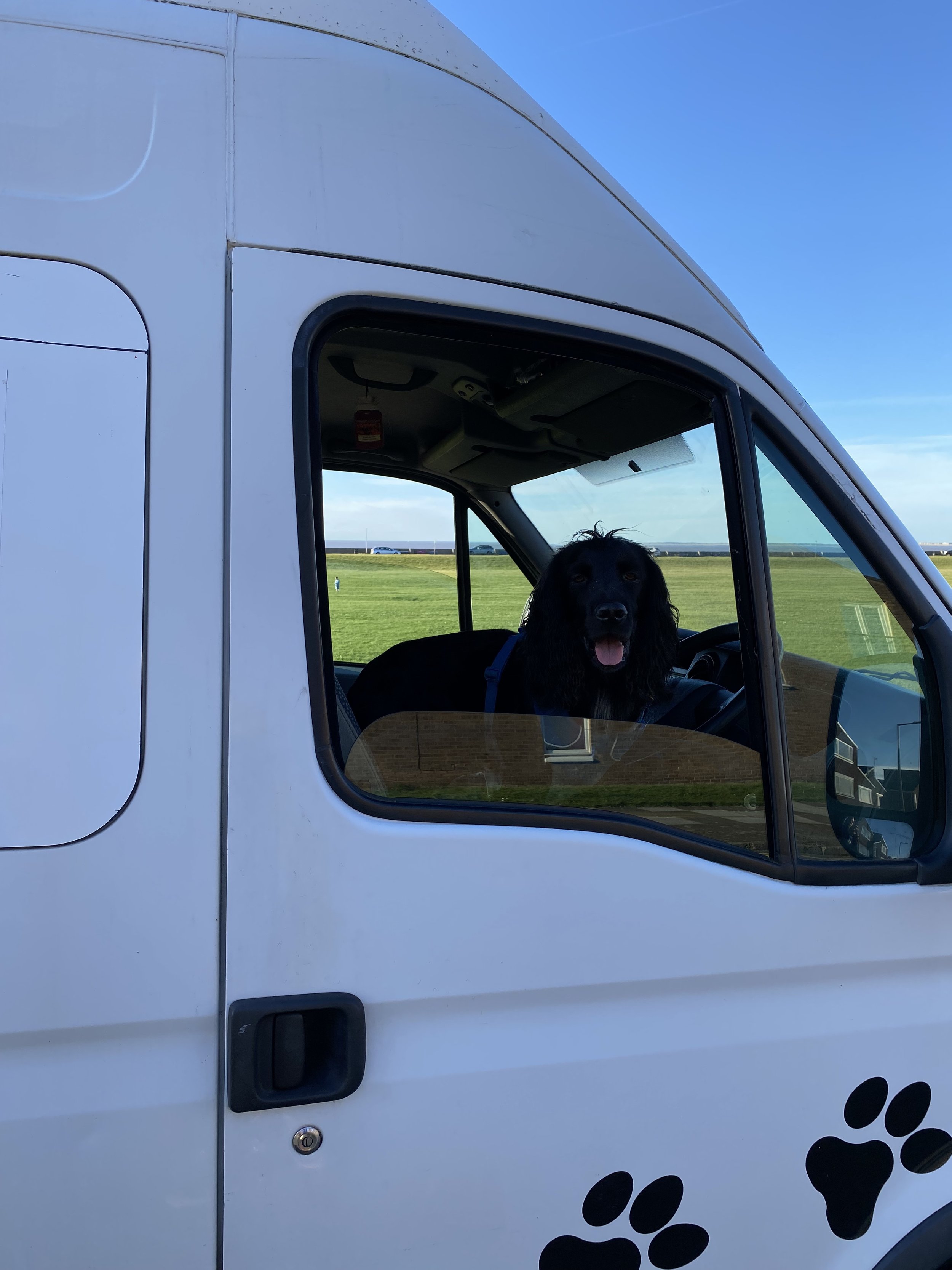 Walter can't wait to get started helping Dad run Mr Walter's Mobile Groom Room!