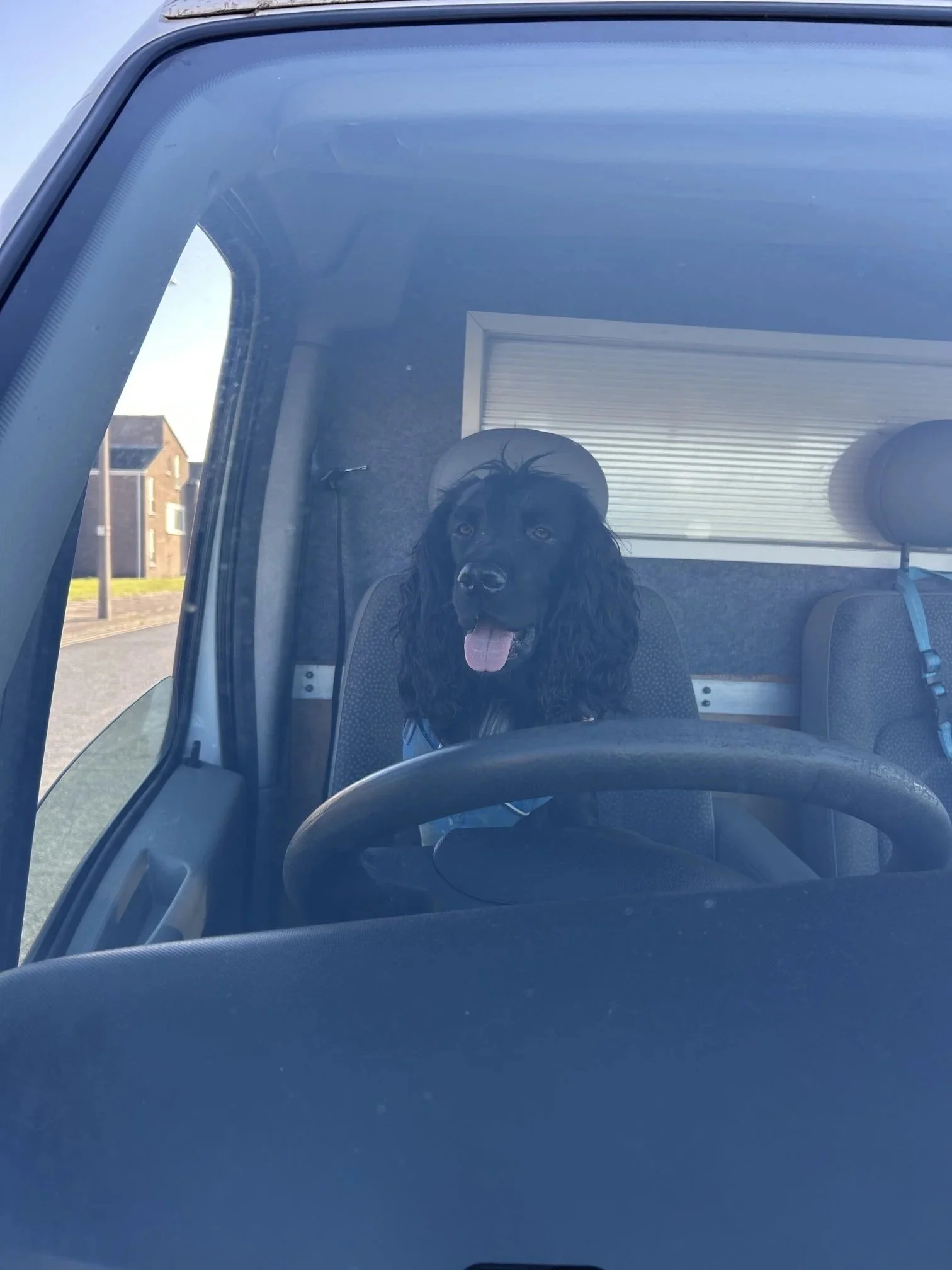 Mr Walter's Mobile Dog grooming van covers all areas of Wirral