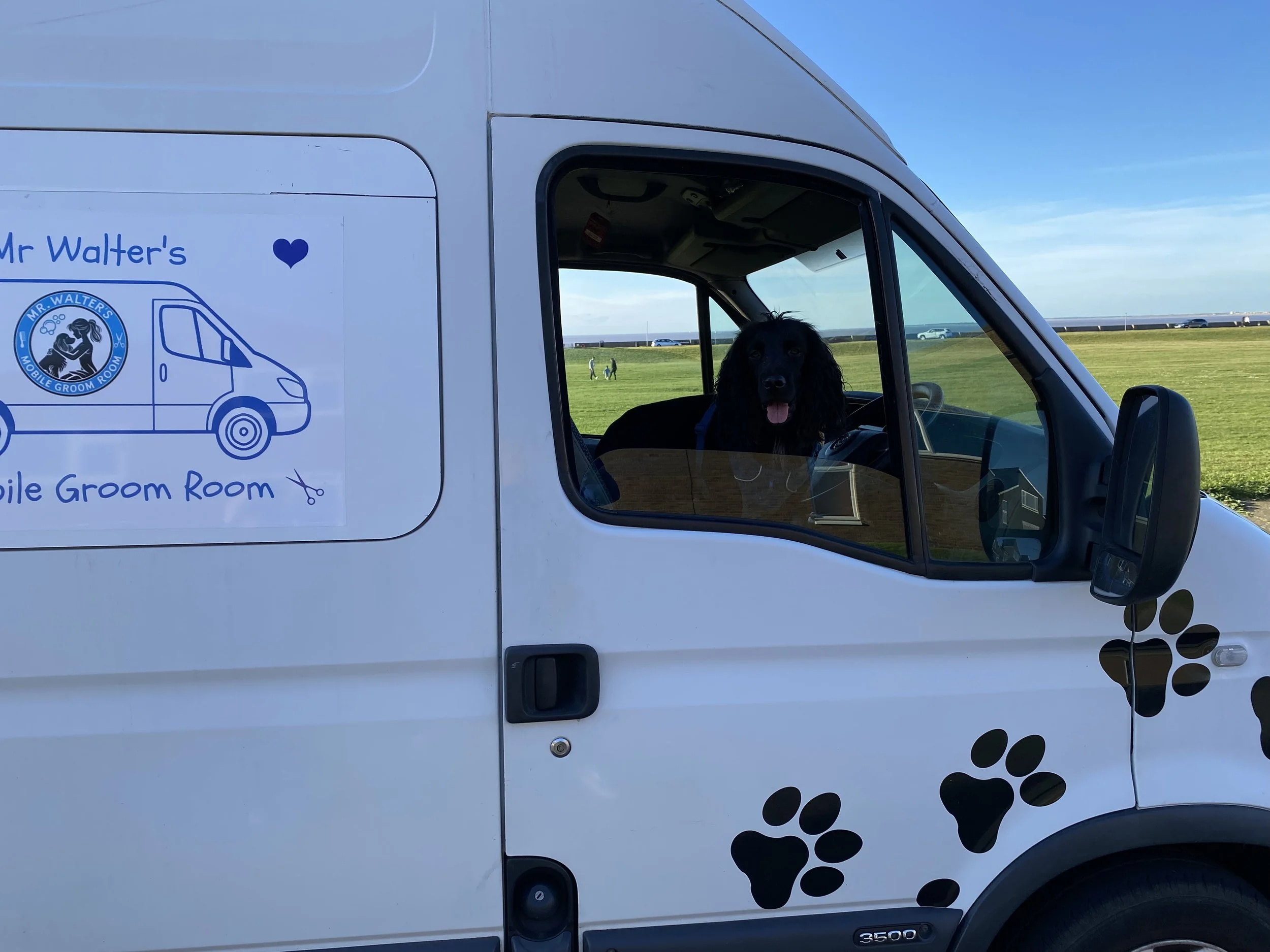 Mr Walter's Mobile Groom Room with Walter at the wheel!