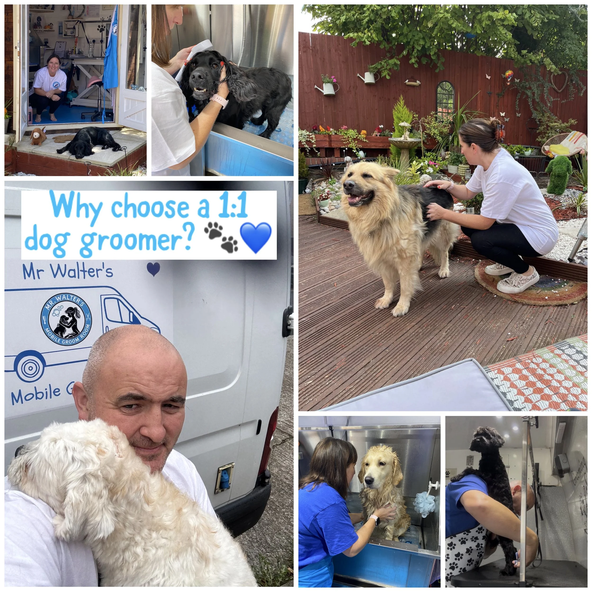 Mr Walter's Groom Room now offers to options for 1:1 dog grooming in Wirral