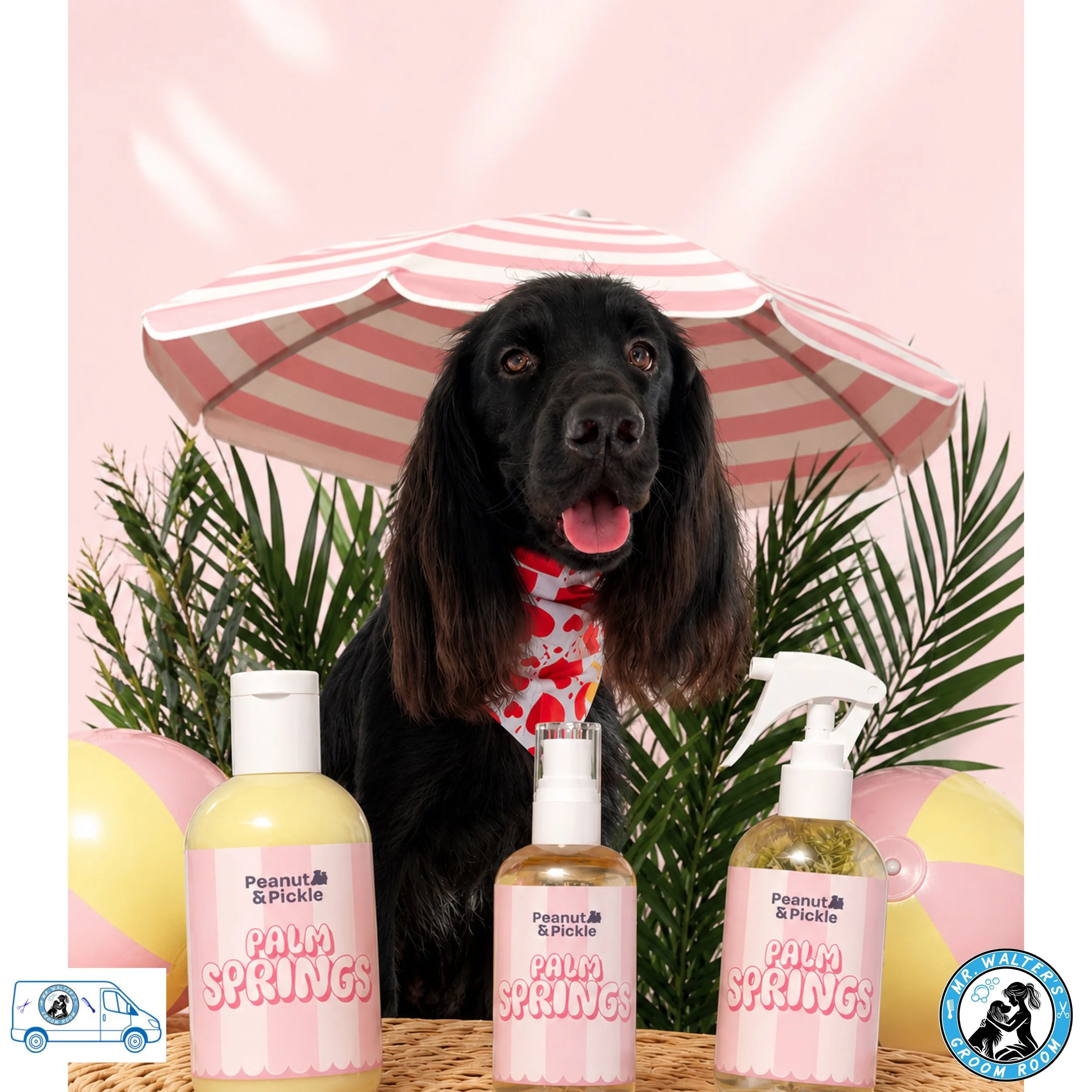 Summer Spa Special at Mr Walter's Groom Room