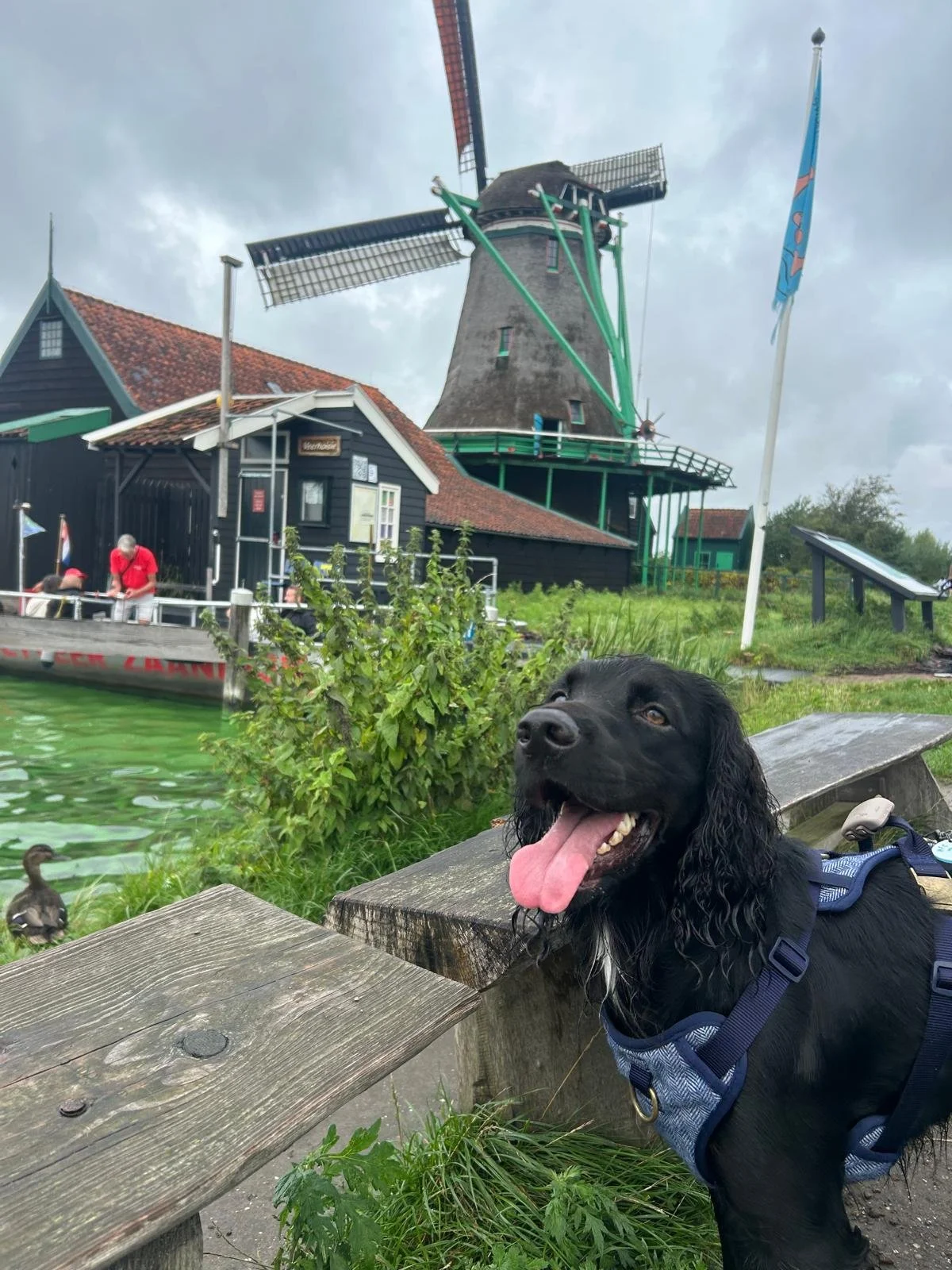 Mr Walter had a fantastic time in Holland with his family!