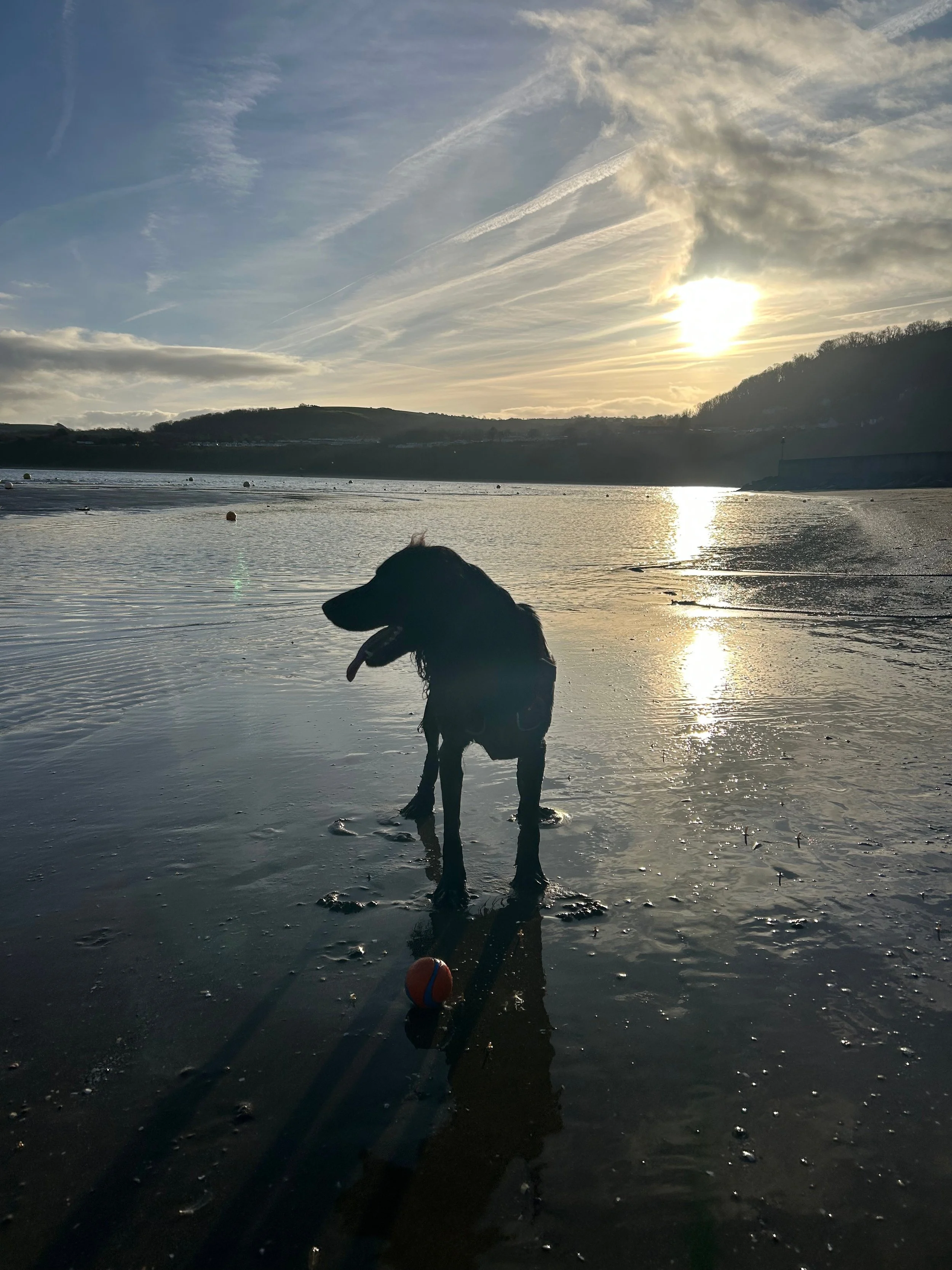Mr Walter took time off from running his dog grooming service in Wirral to spend time with his Mummy and Daddy in Wales.