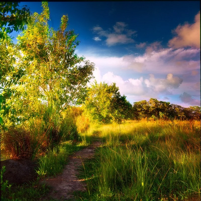 20191018_061536000_iOS 3.jpg