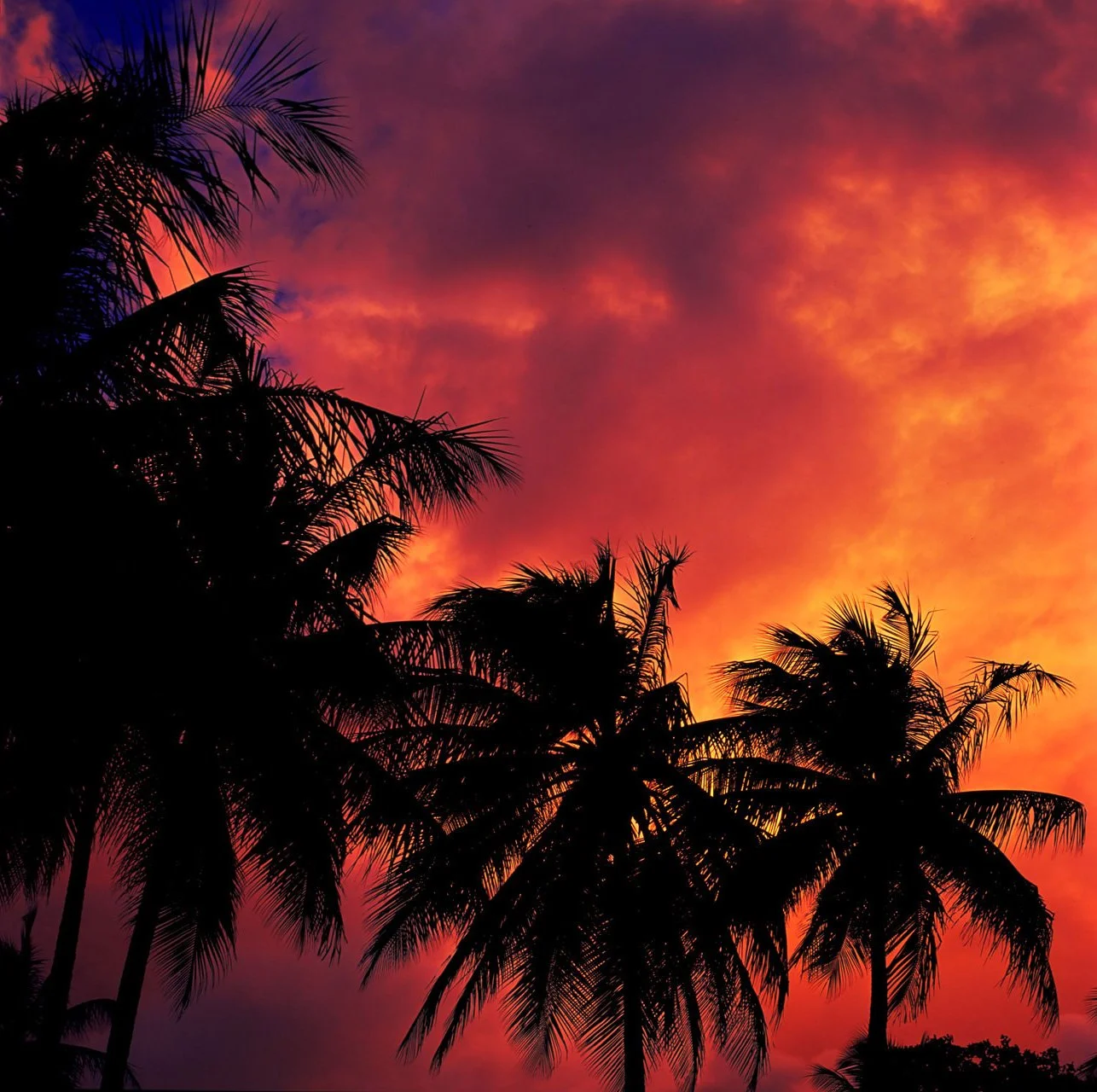 20191018_061425000_iOS 3.jpg