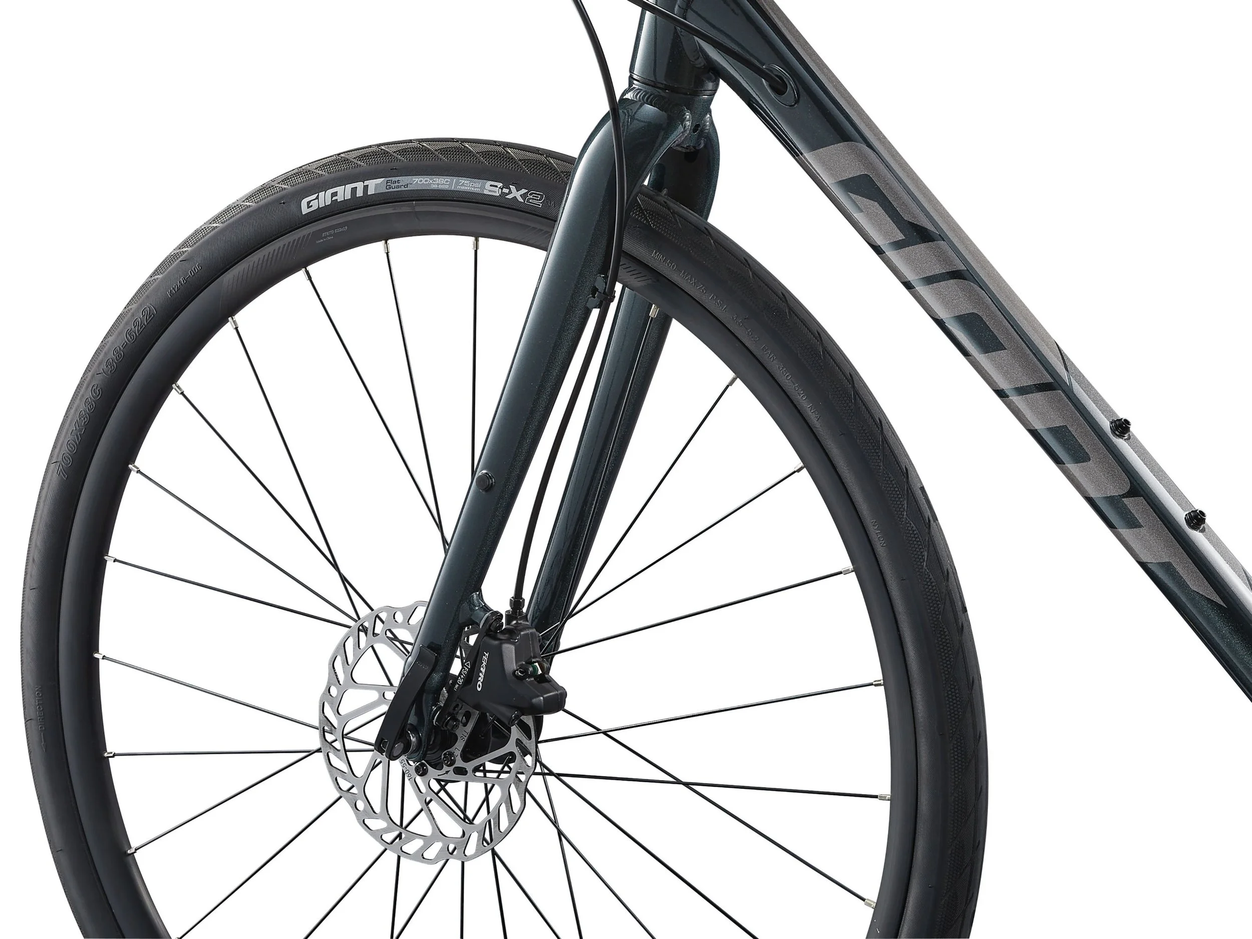 Giant Escape 2 Disc Bike  Bicycle Roots