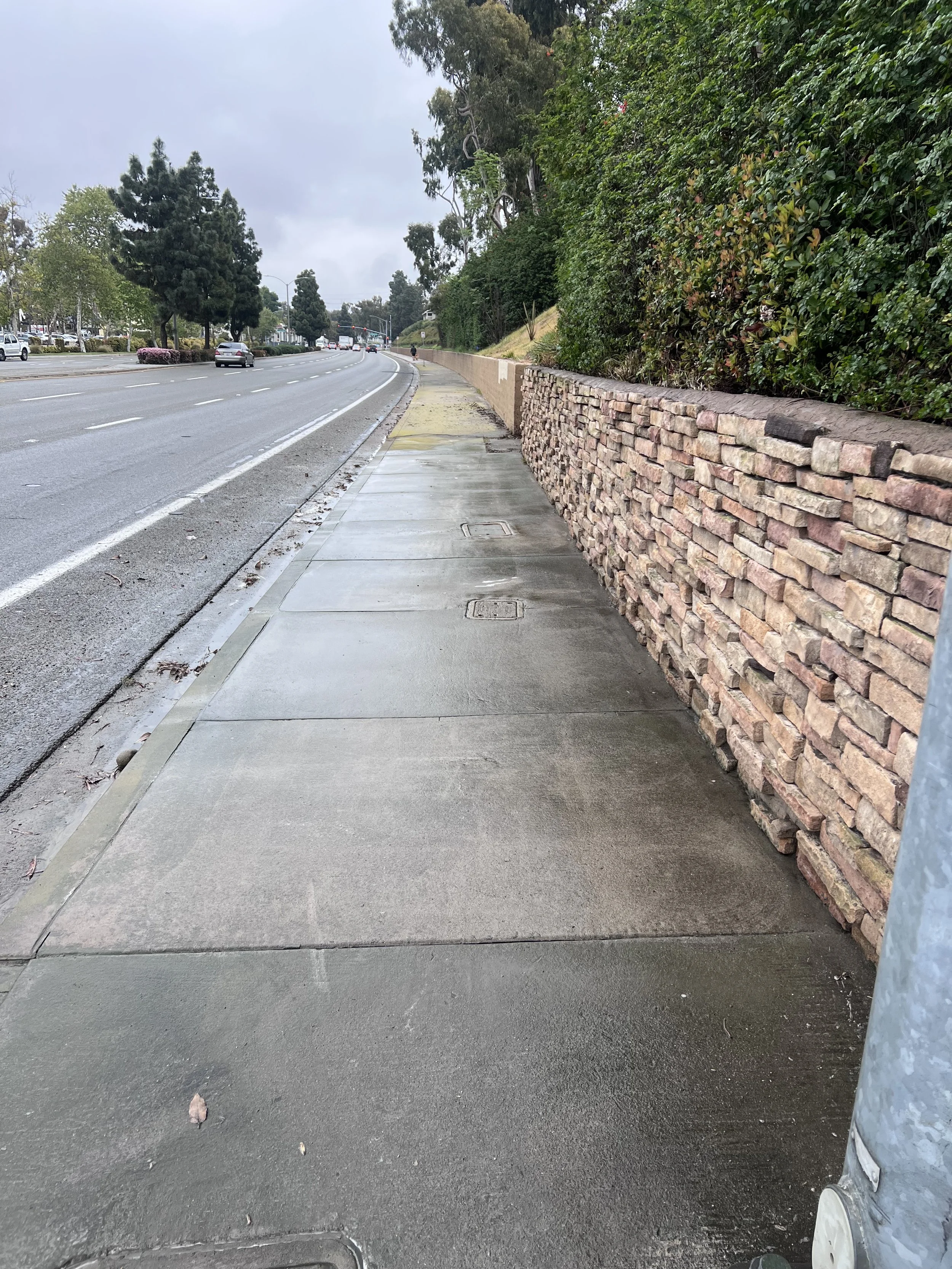 SIDEWALK 2.jpeg
