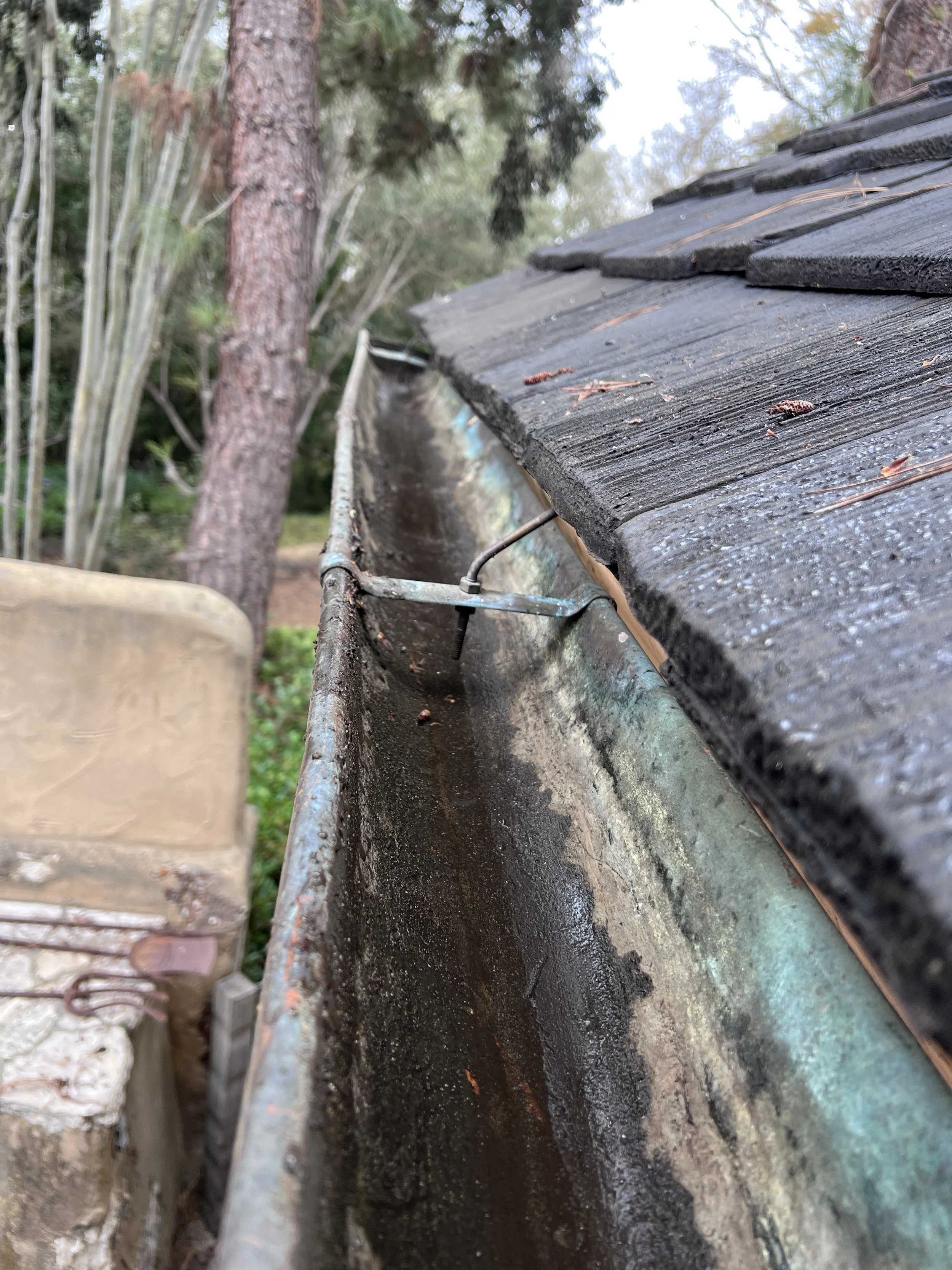GUTTER 2.jpeg