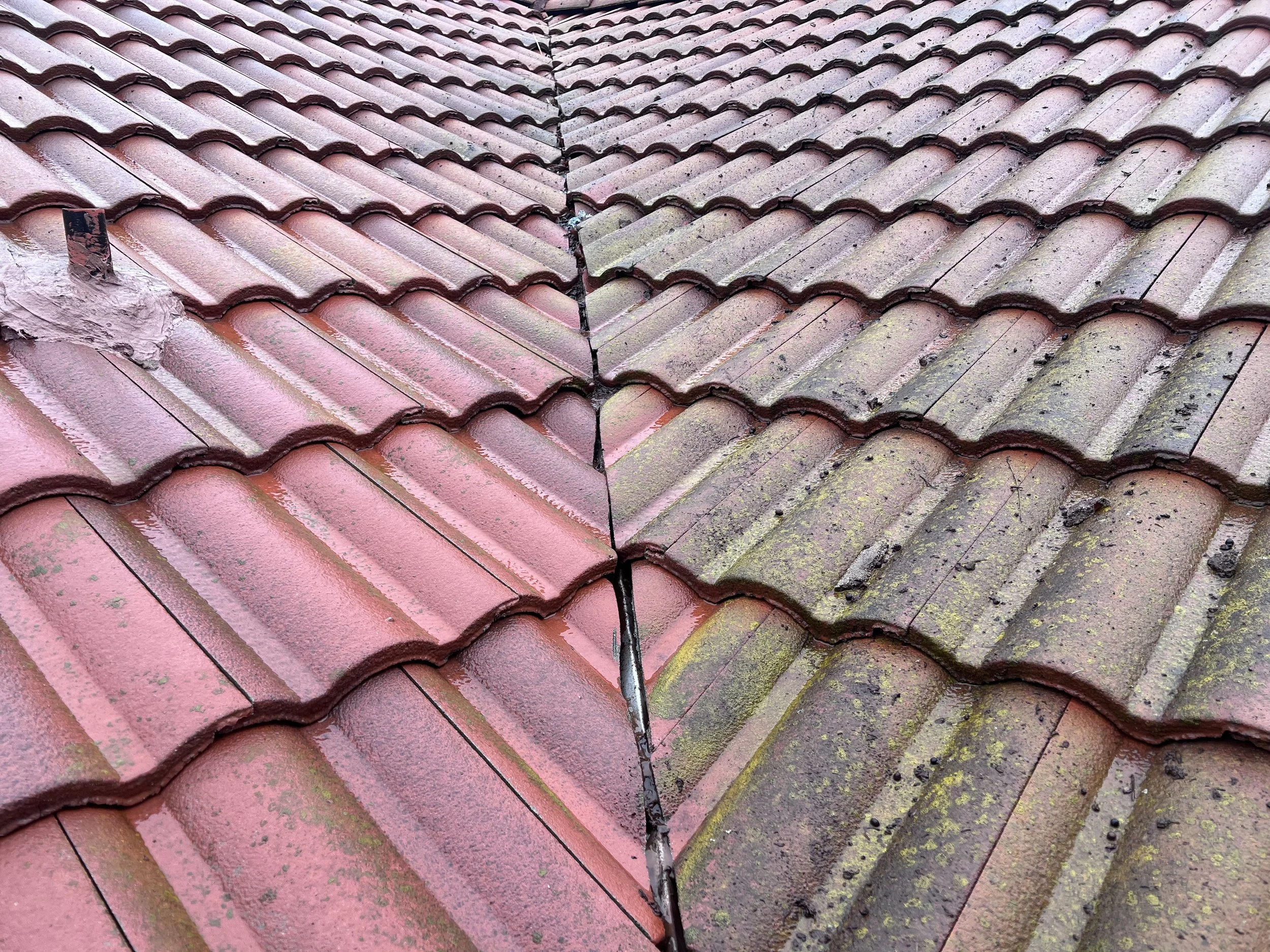 ROOF 1.jpeg