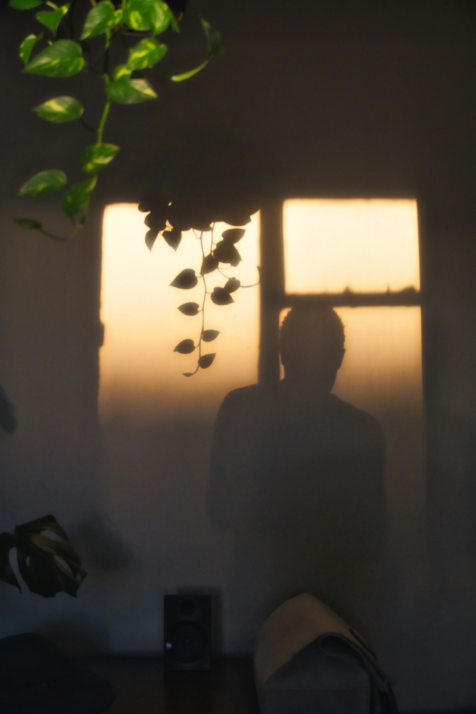 A person sitting quietly near a window with soft evening light and plants, reflecting during emotional healing from relationship trauma.
