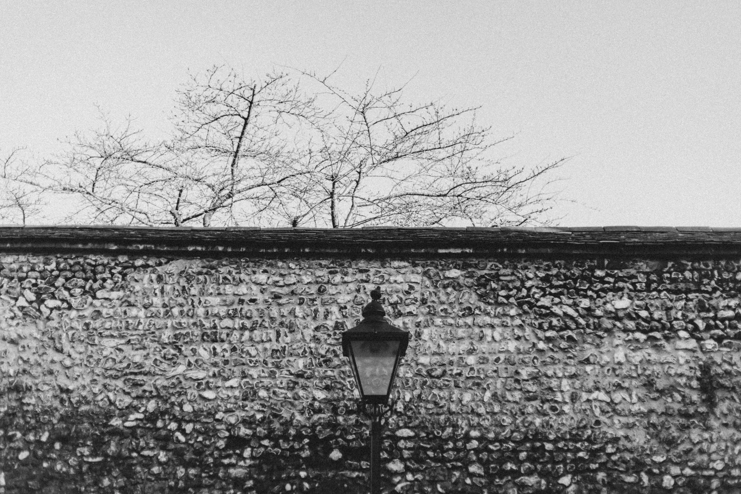 Bare trees above a stone wall and lamppost, reflecting early spring nervous system shifts and emotional transition.
