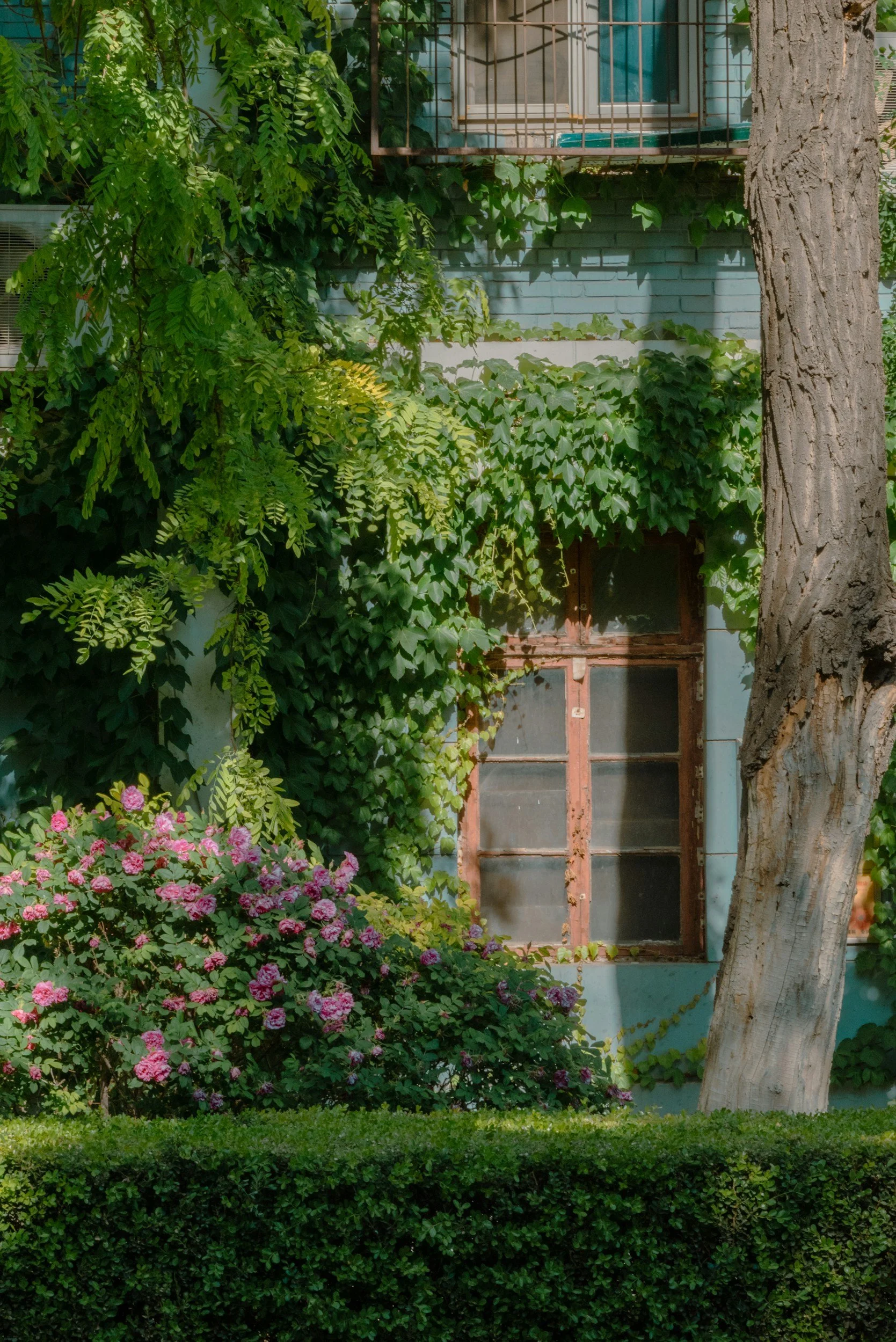 Doing Deeper Trauma Work This Summer with EMDR and Parts Work in Philadelphia and Bryn Mawr