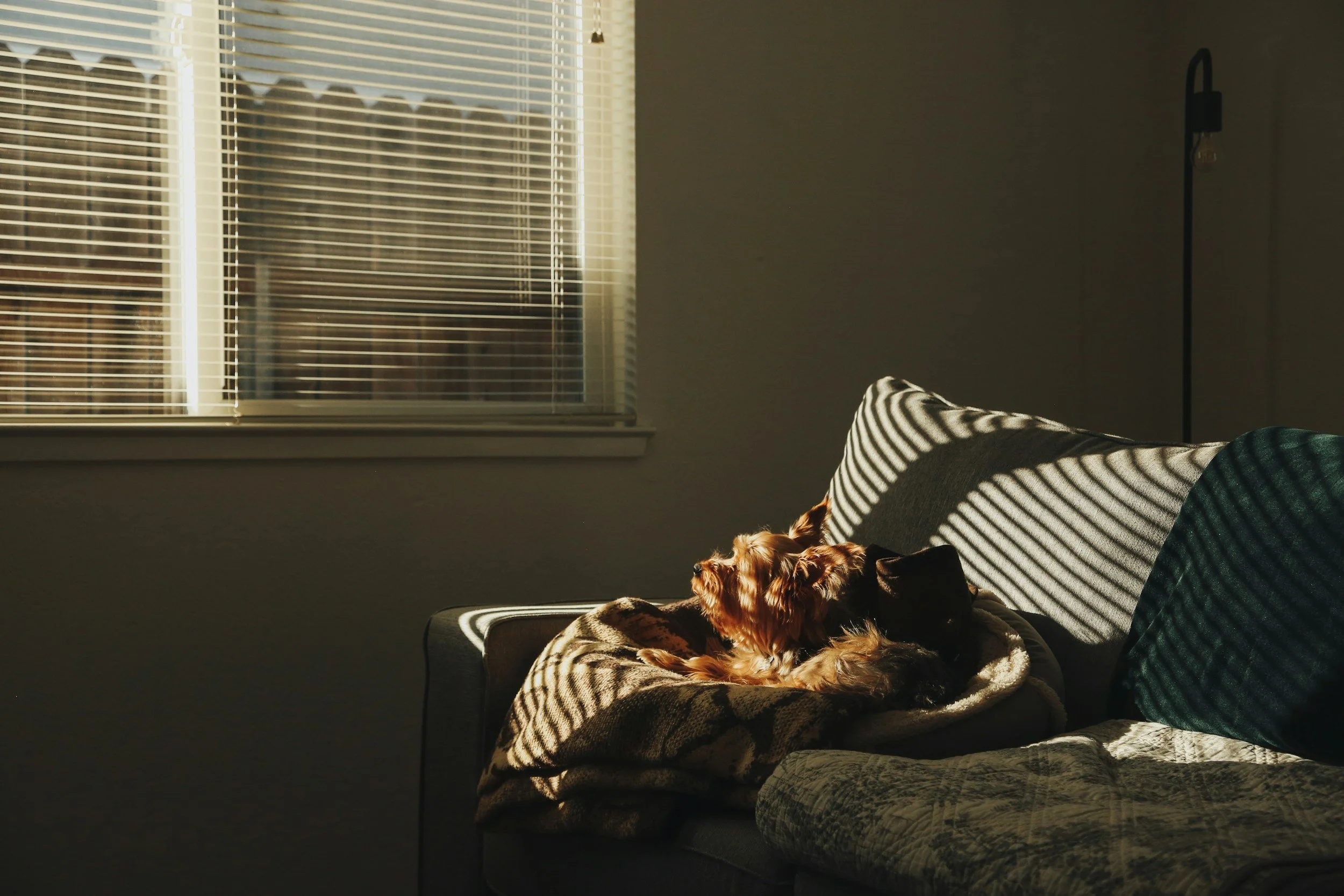 Peaceful moment of rest supporting nervous system reset during burnout recovery.