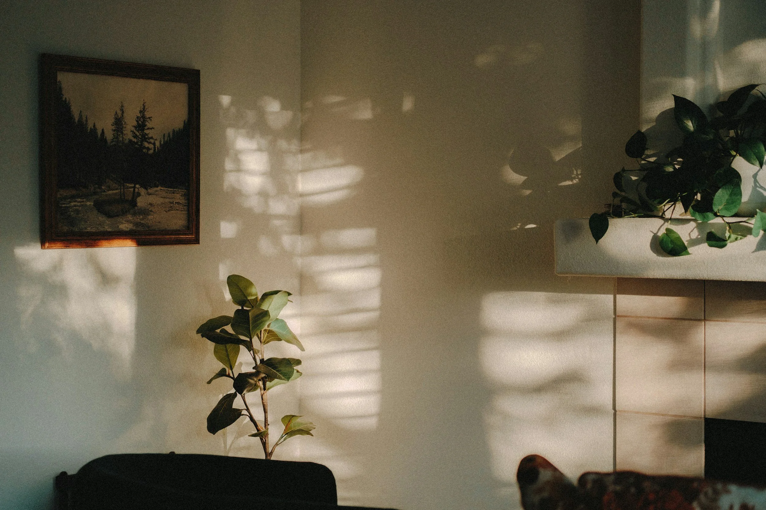 Calm home environment supporting nervous system reset and quiet reflection for mothers.
