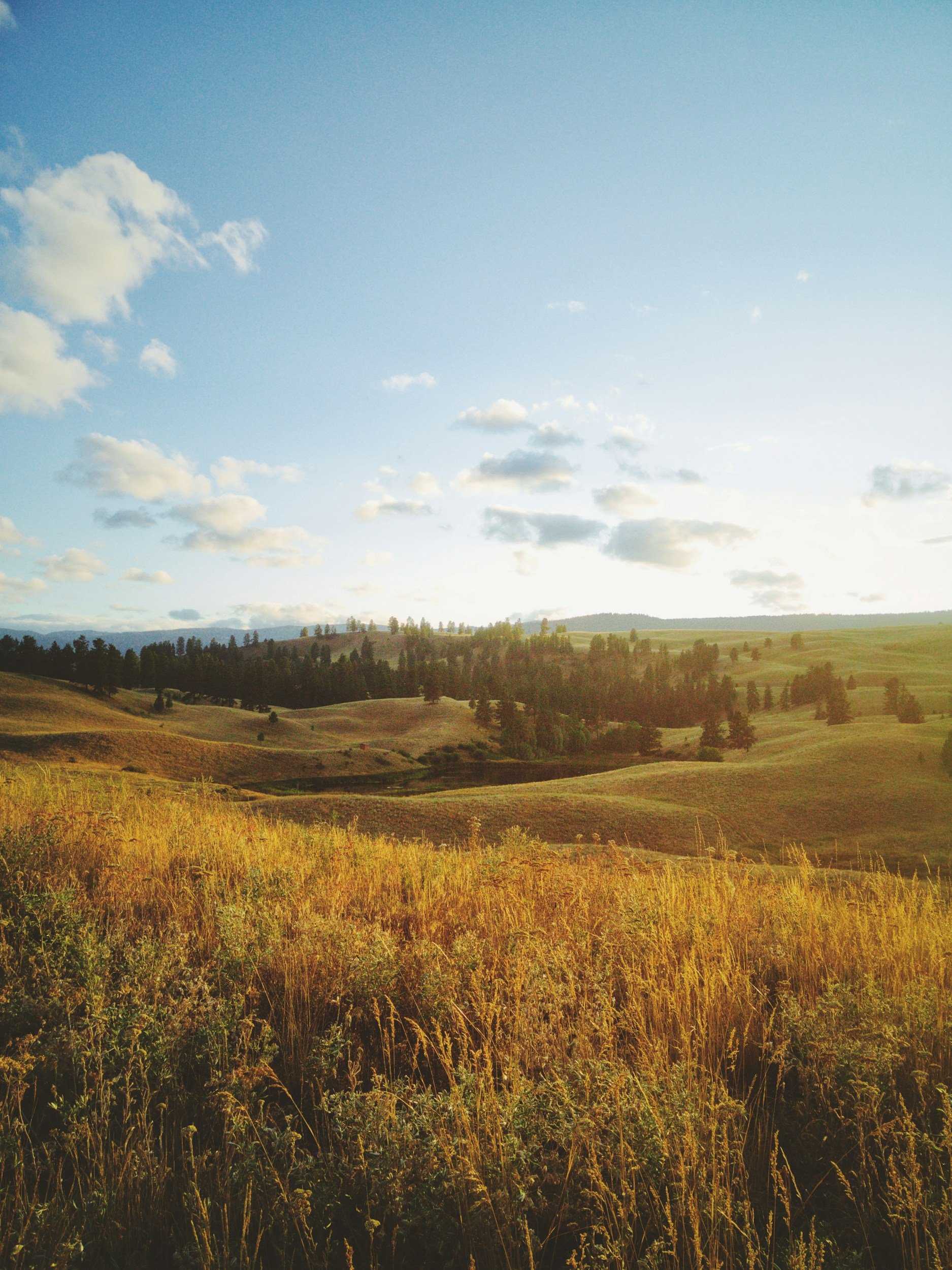 Golden late-summer landscape with rolling hills and soft evening light, symbolizing rest, reflection, and emotional renewal.