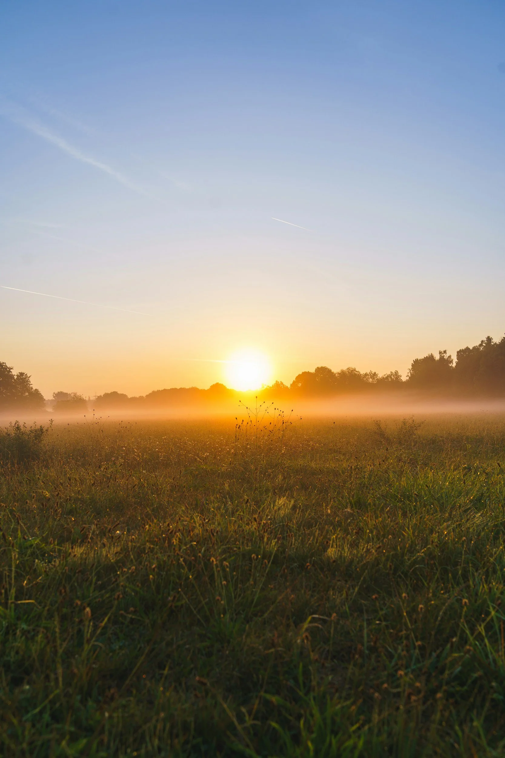 Before Life Gets Busy Again—Five Questions to Ask Yourself Before Fall